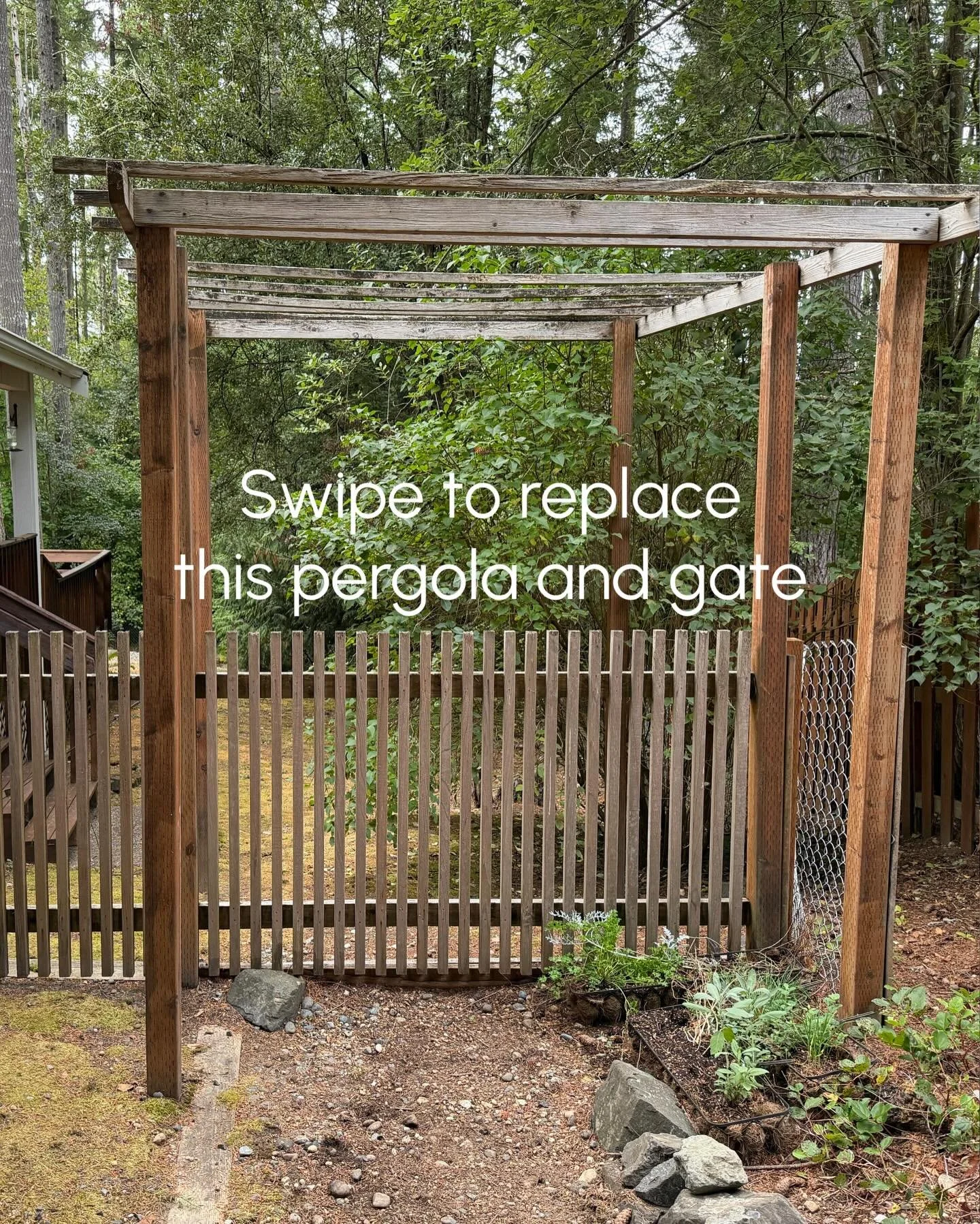 Fun pergola and gate refresh for a quiet side yard pathway. Can&rsquo;t wait to see this space once the blooms begin and the greens fill in this spring! 🔨🌸🌱🪜🌷🌿🪚 #woodworks #gigharbor #handmade #backyard #outdoorspace