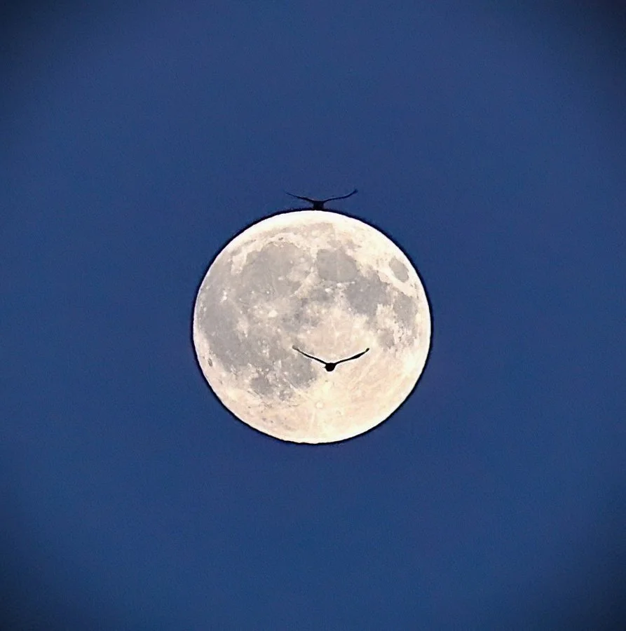 JP.3 Moon landing.JPG