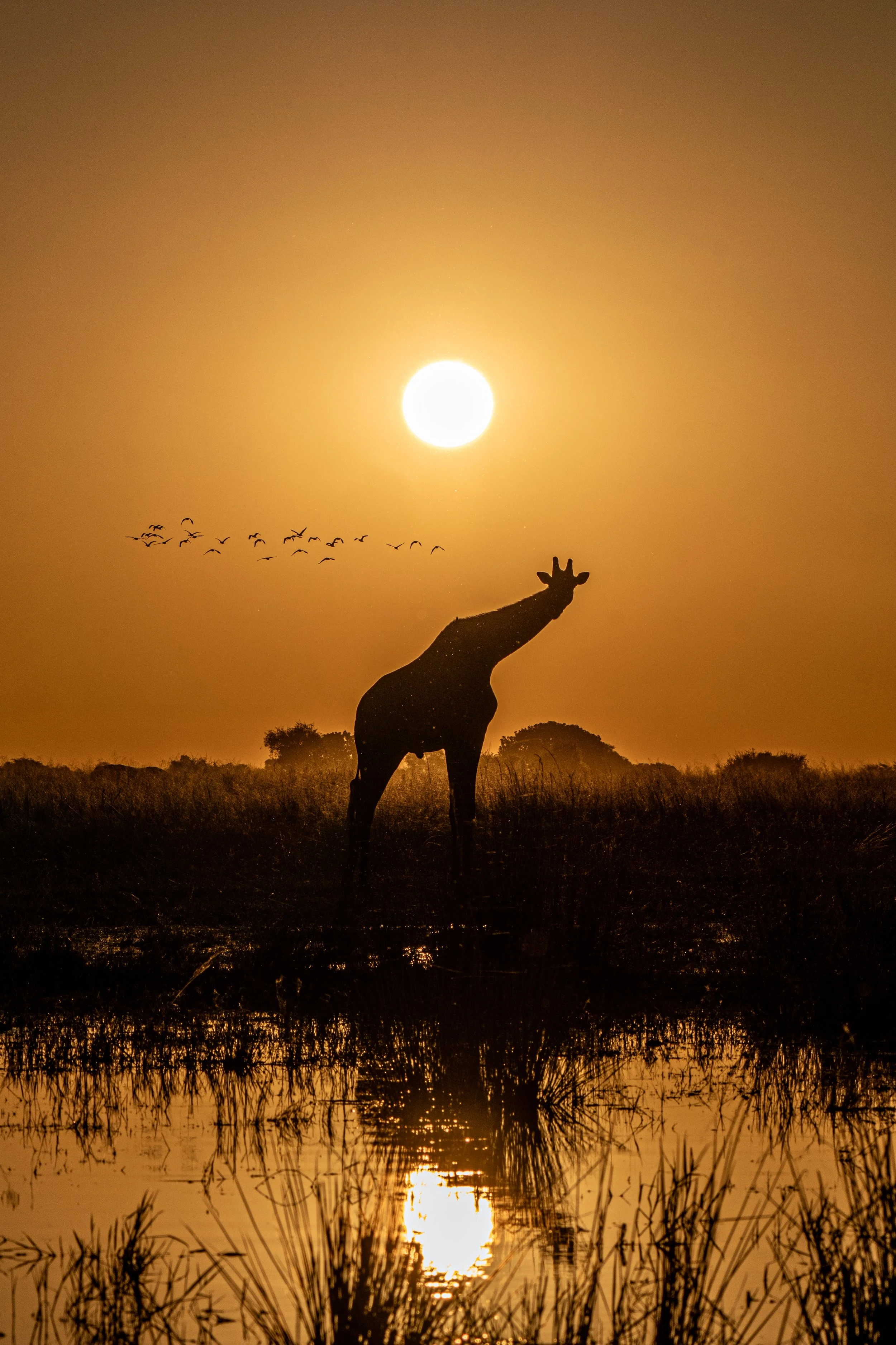 GR-Evening light.JPG