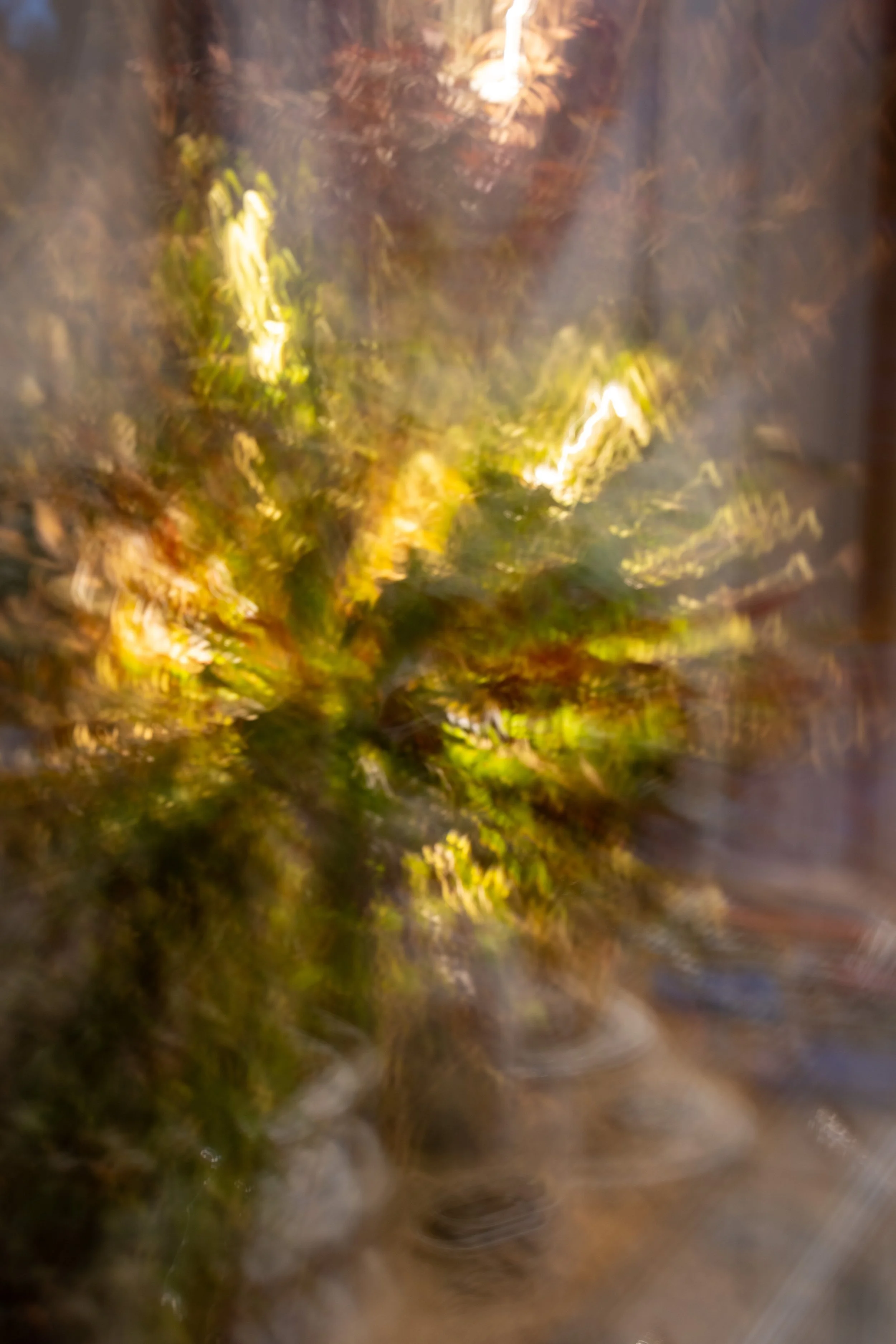 GR Abstract Xmas 5.JPG