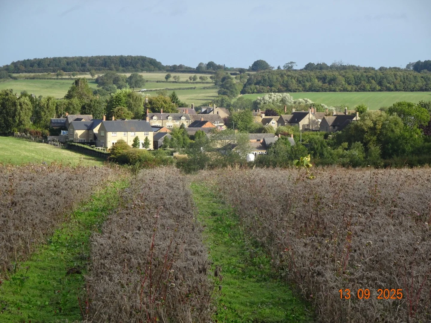 RM-Sulgrave from  tree line.JPG