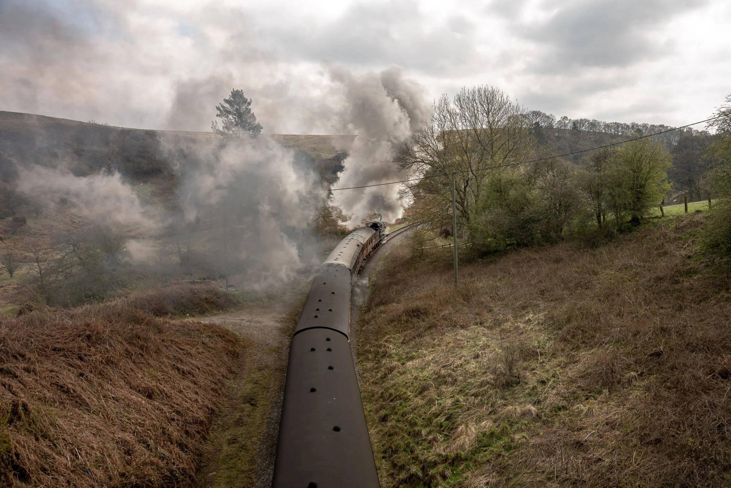 Trains (5 of 3).jpg