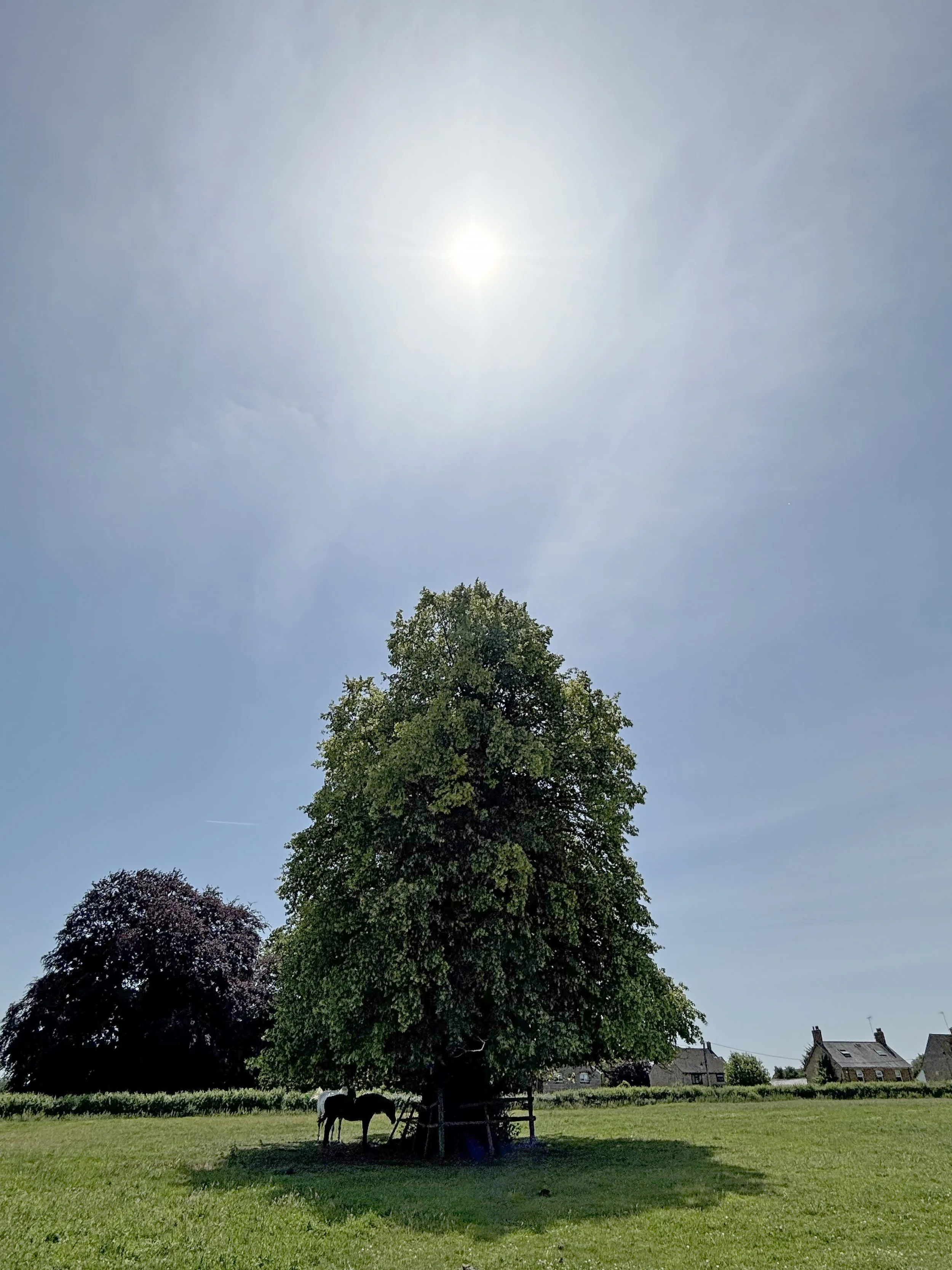 HIGH NOON MIDSUUMER DAY SULGRAVE 1.06 BST.jpg