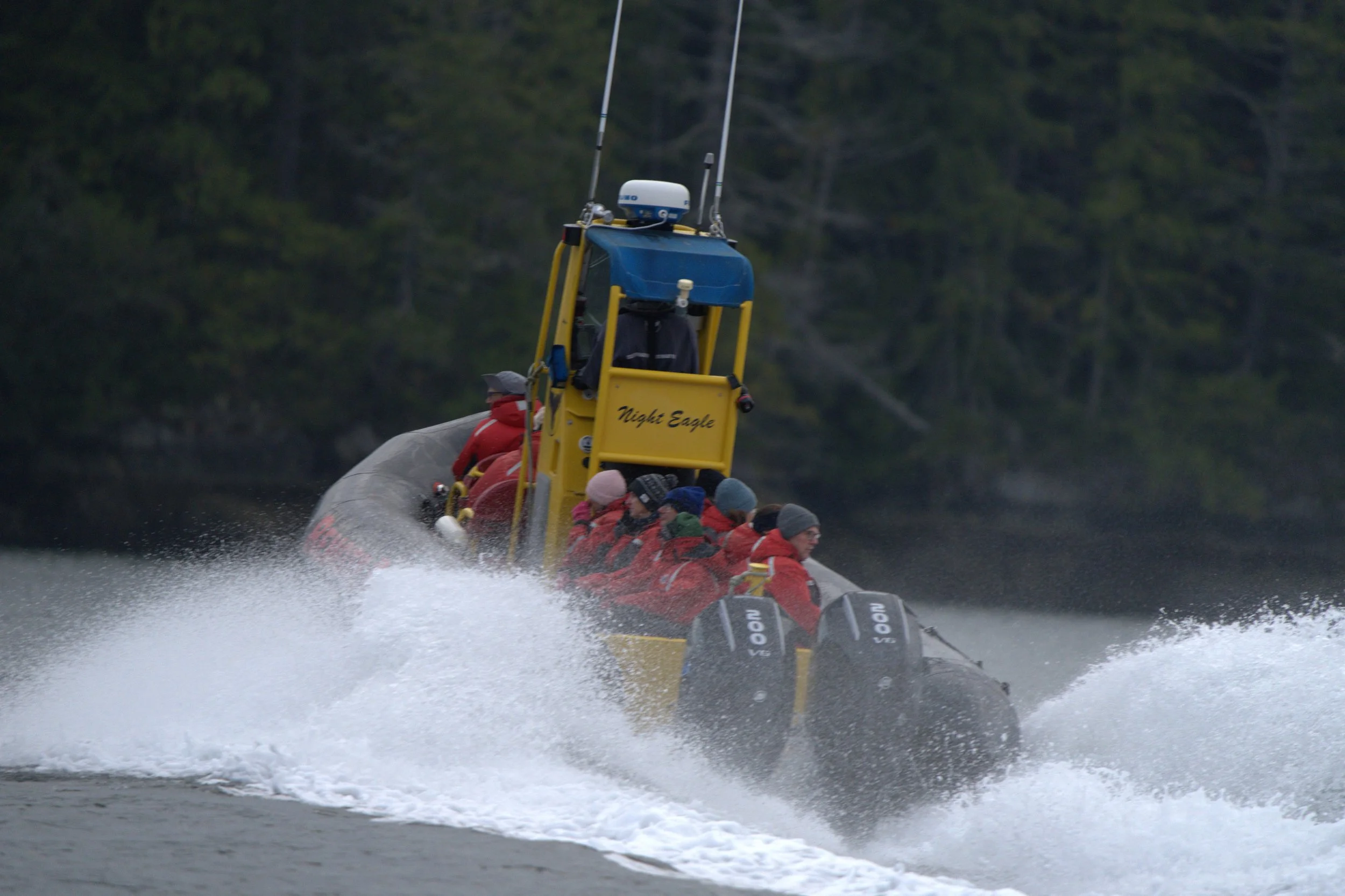 CAN08983.1.jpg