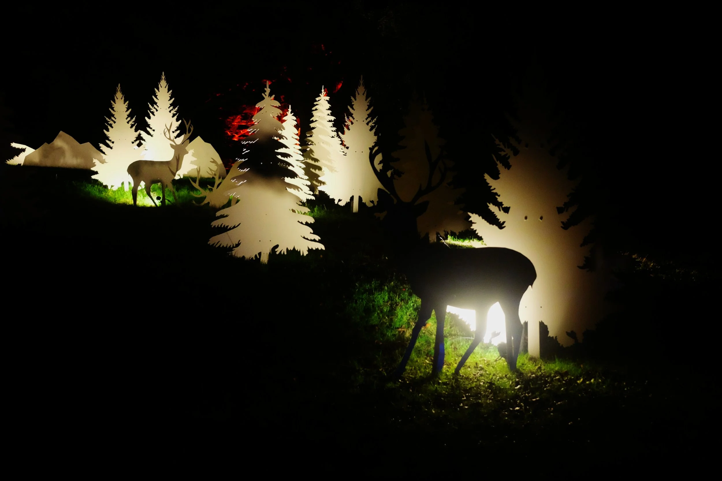 BC 5 Reindeer Scene.JPG