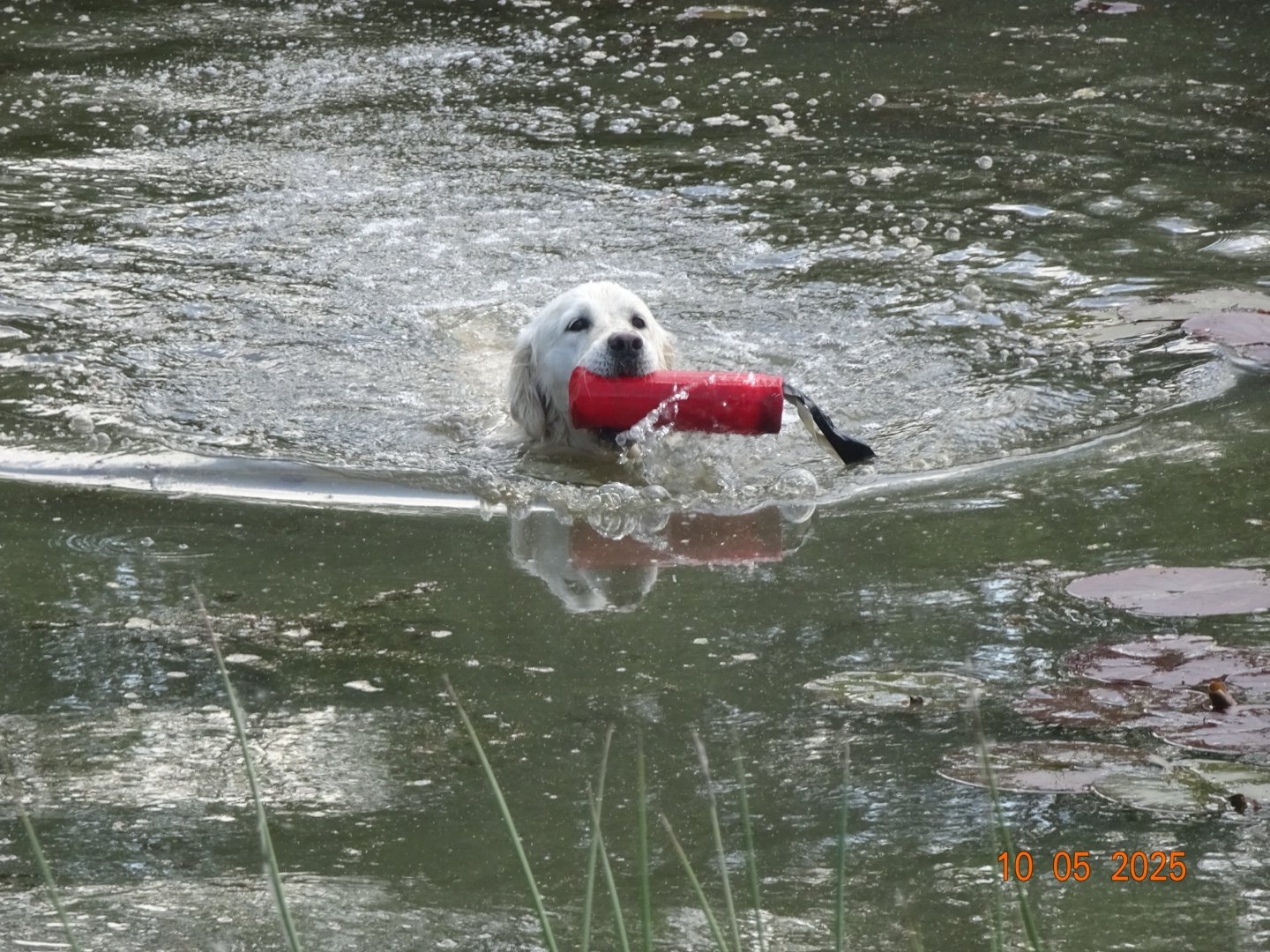 RM-Water training.JPG