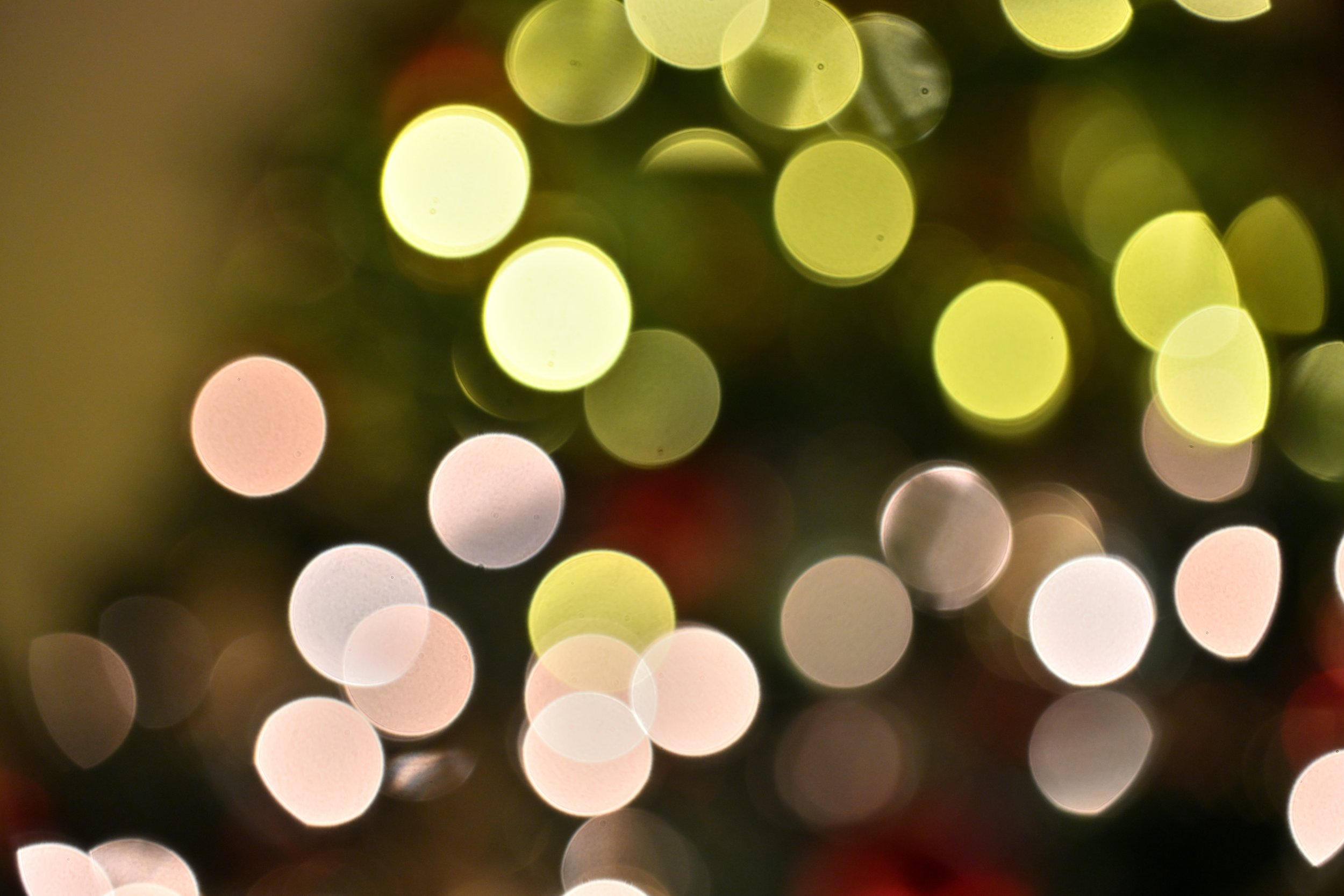 JP. 3  Tree lights.JPG