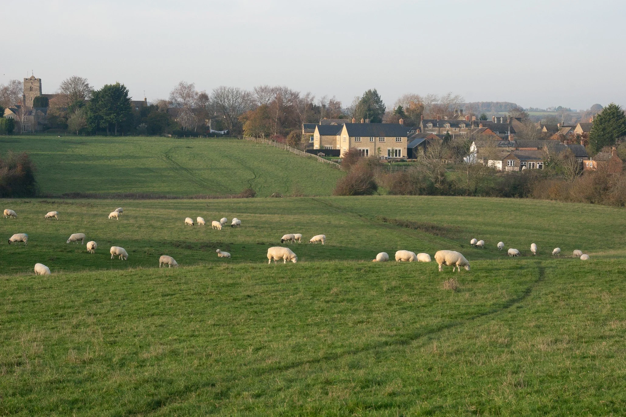 footpath views.jpg