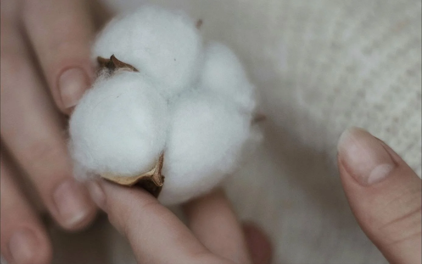 The Evolution of Sustainable Fashion: From Trend to Essential Business Strategy