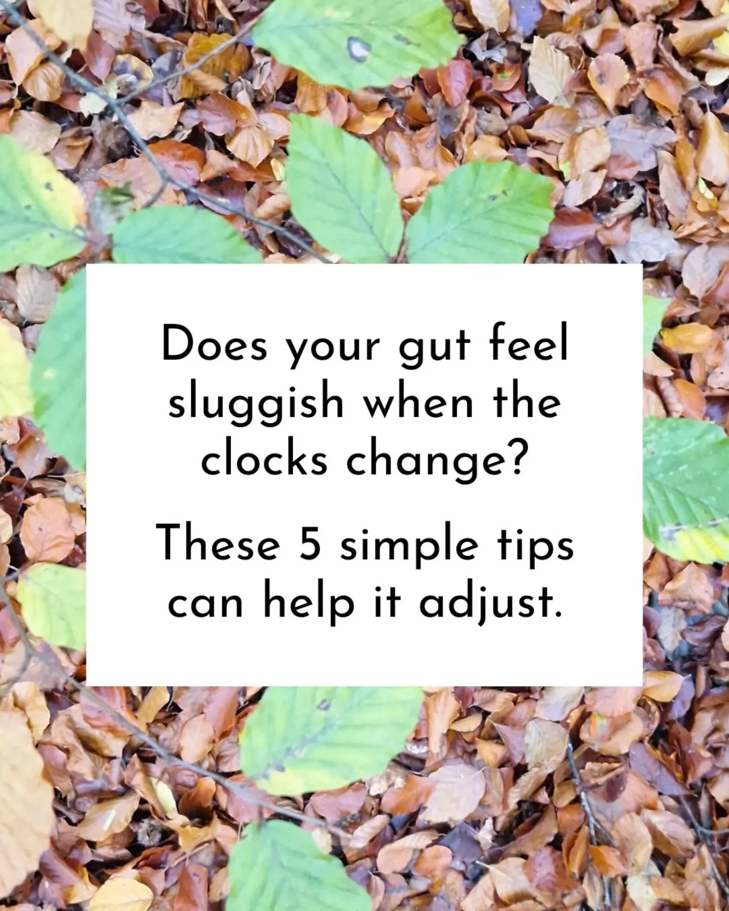 Just like you, your gut microbes follow a circadian rhythm, and they thrive on routine. So when the clocks change, your internal body clock and your gut can be impacted &ndash; which can make you feel bloated, sluggish or tired.

Here are my top 5 ti