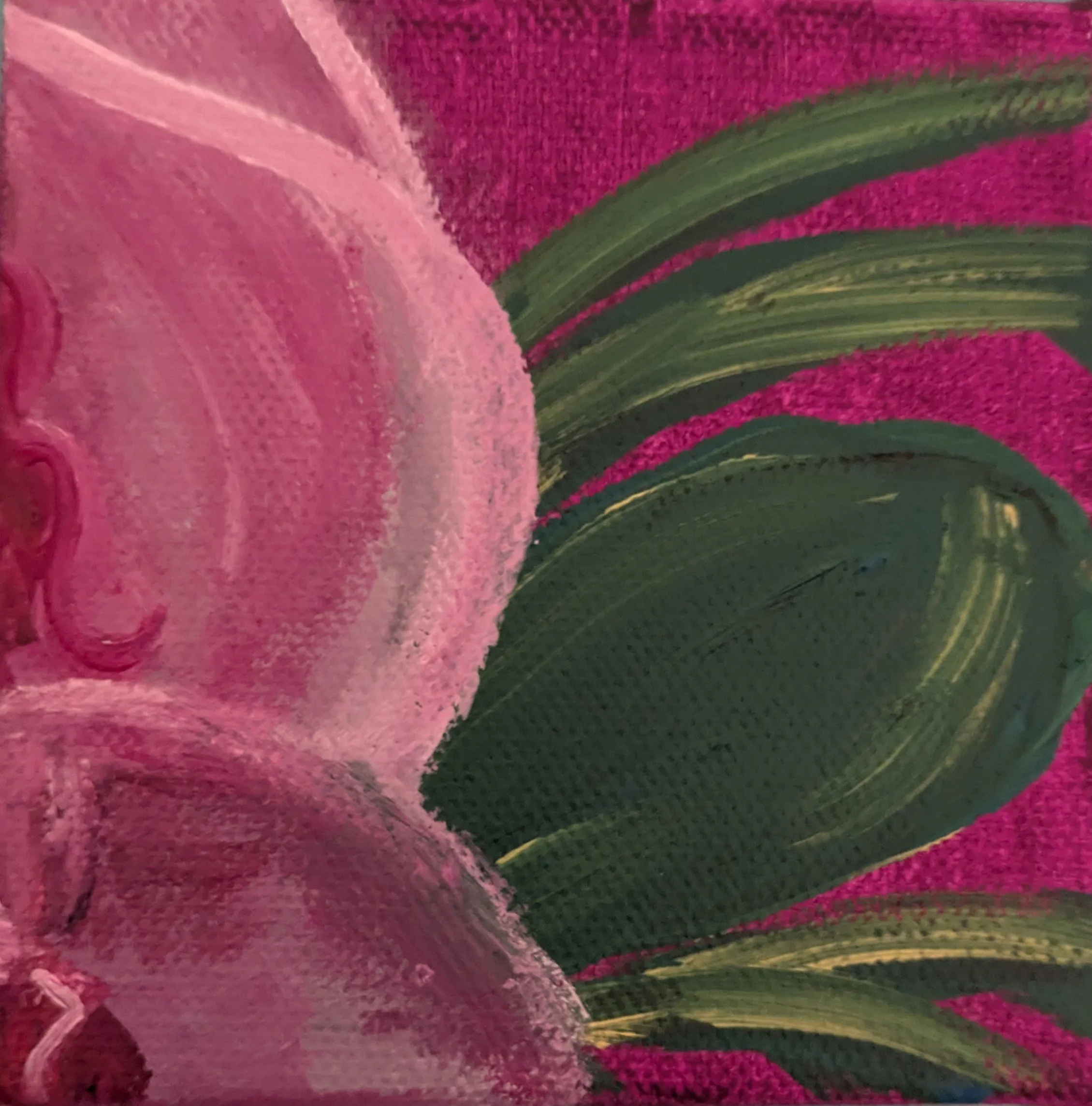 Orchid
