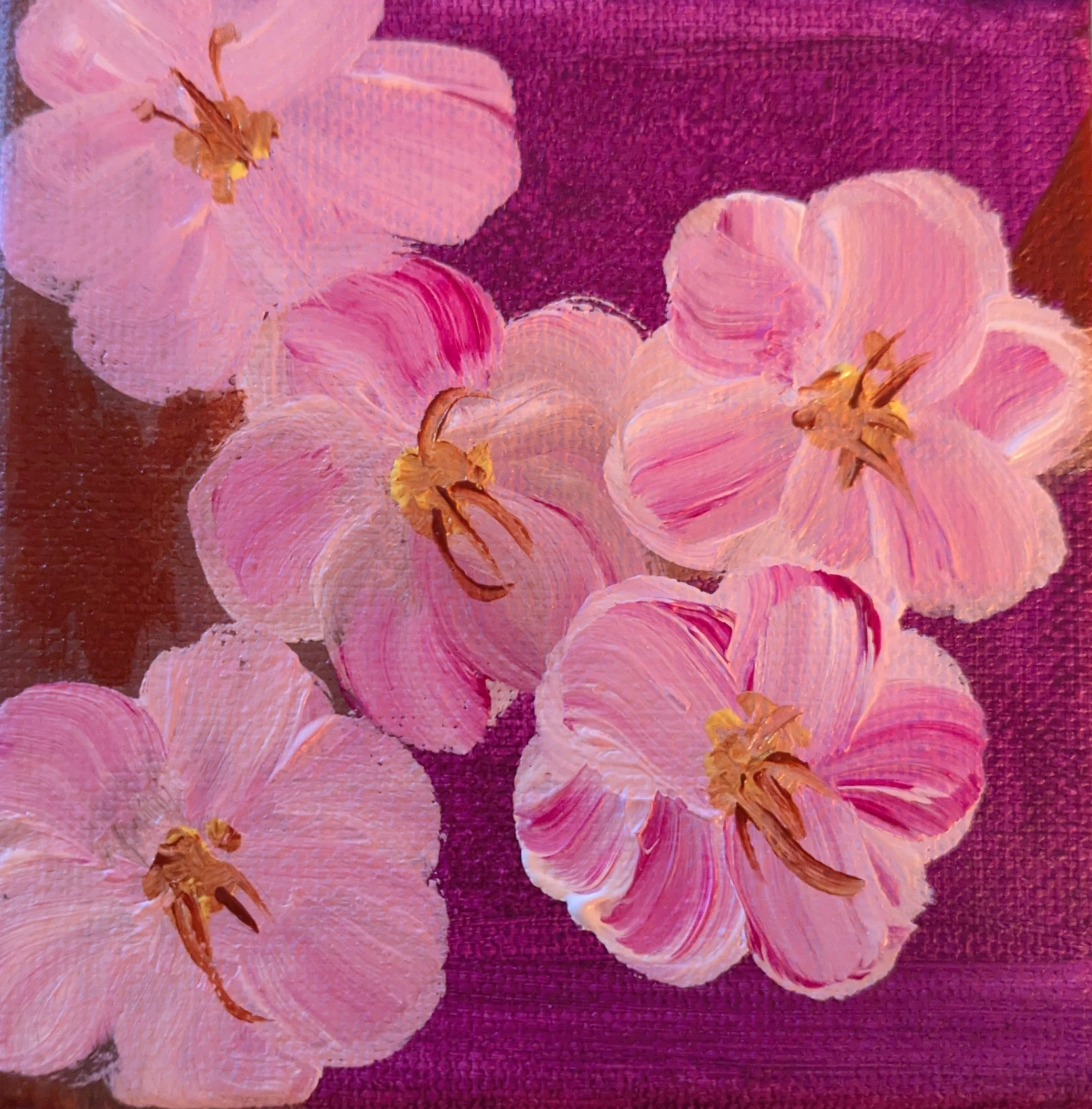 Pretty In Pink