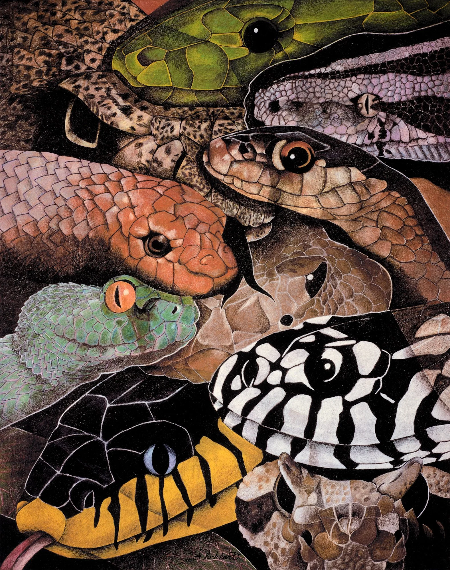 The Dance of the Reptiles