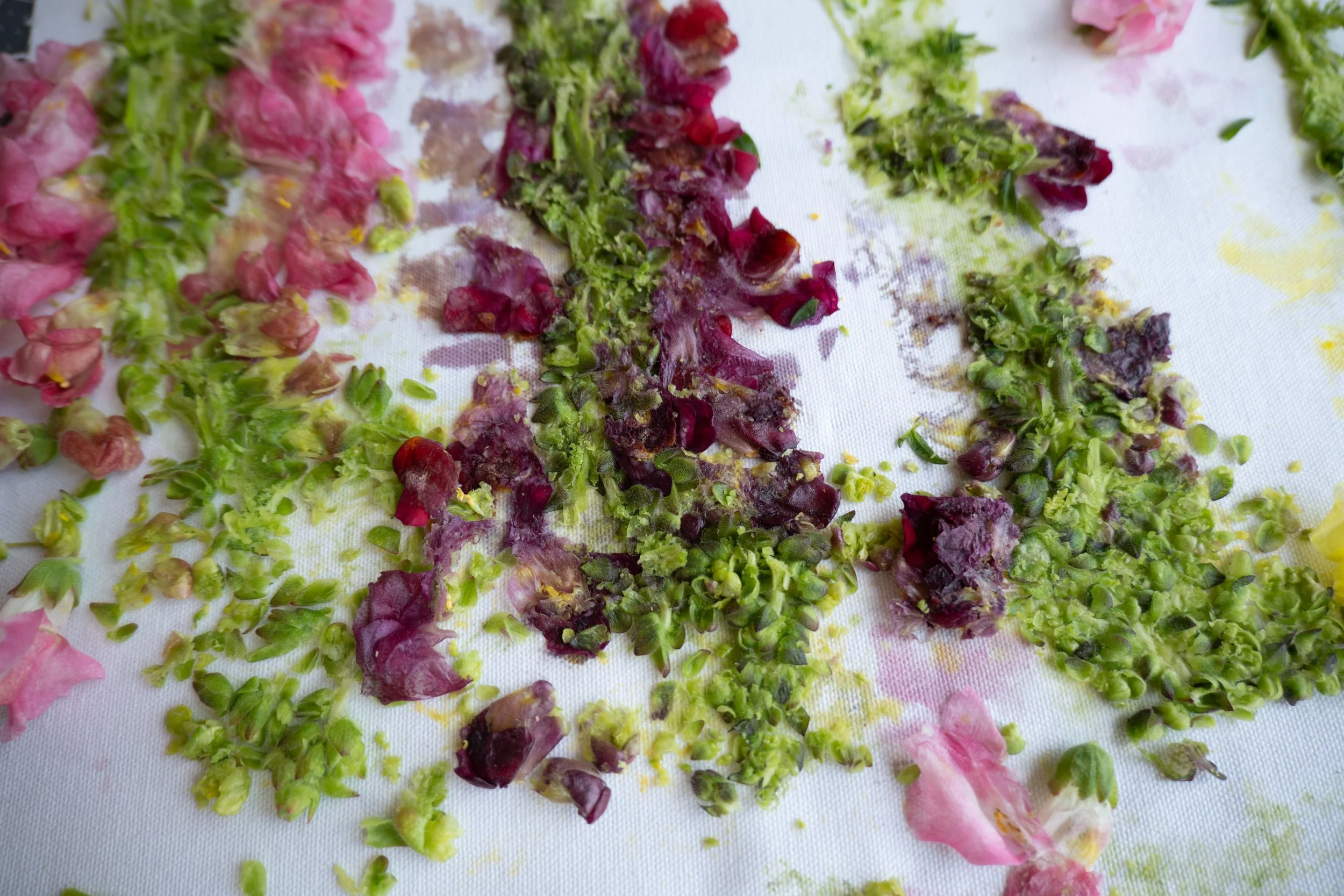 Colorful flower petals and green plant parts arranged on a white surface.