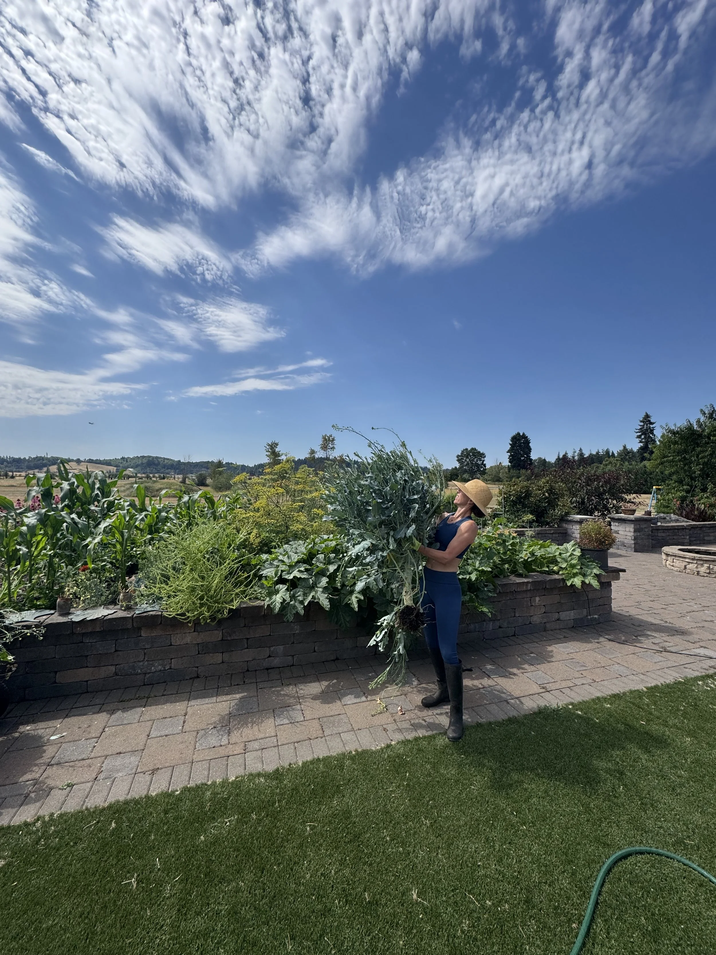 A woman wearing a straw hat, black top, and blue pants stands in a garden, holding a large bunch of leafy greens. The garden has a brick border, various plants, and a paved walkway. There are trees and hills in the background under a partly cloudy sky.
