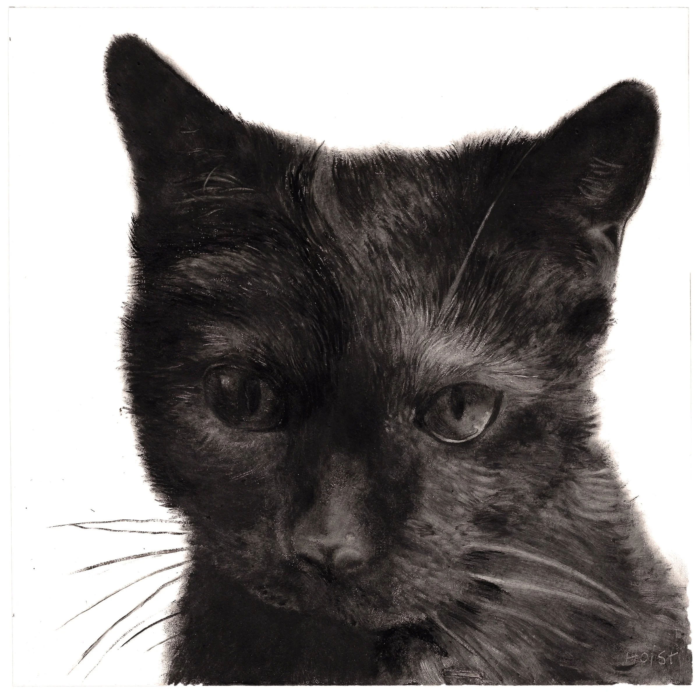 SOLD / Onyx / Fri Dec 12th / 7 x 7"