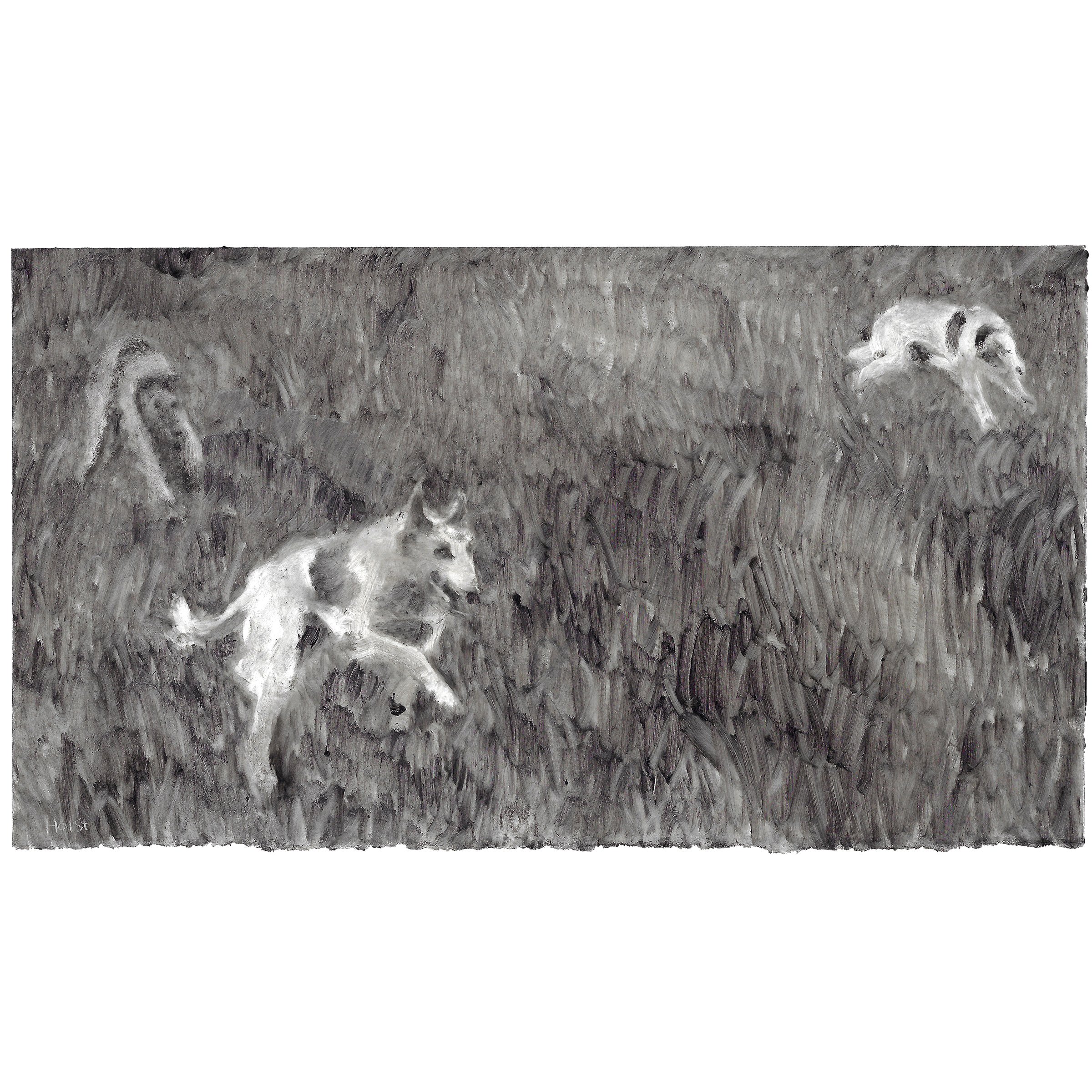 sqholst_the_chase_5.25x9.625_inches_2025 copy 2.jpeg