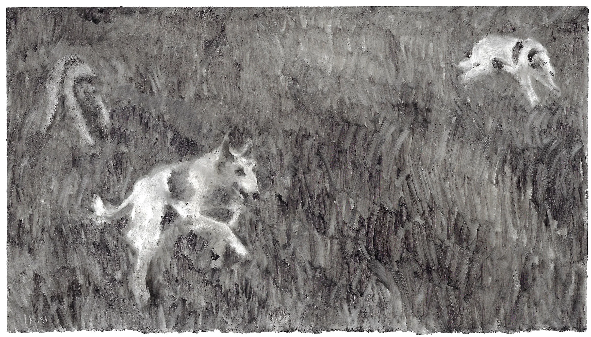 holst_the_chase_5.25x9.625_inches_2025 copy.jpeg