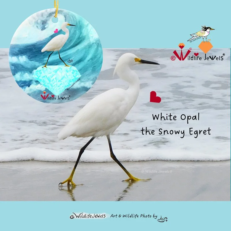 © Wildlife Jewels Shop Ornaments-15.jpg