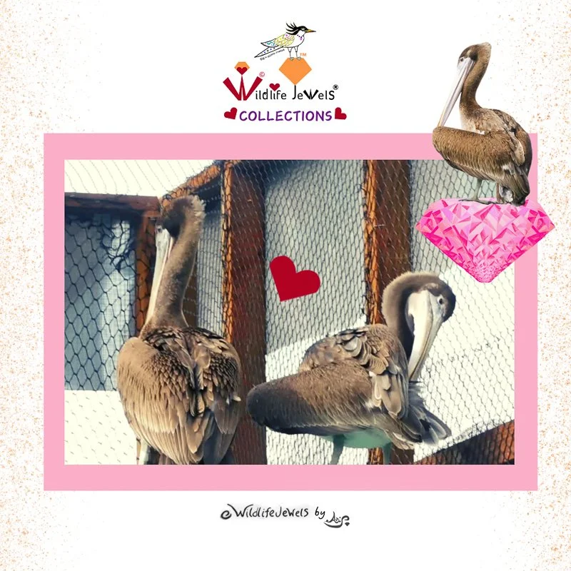 Wildlife Jewels Pink Tourmaline-3.jpg