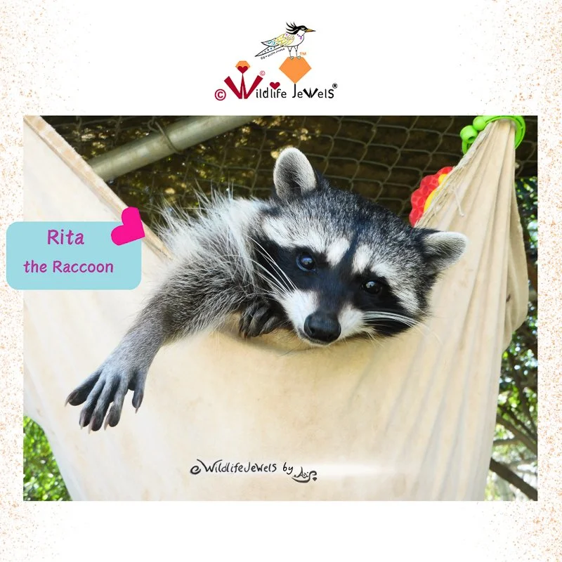 Wildlife Jewels PW-2.jpg