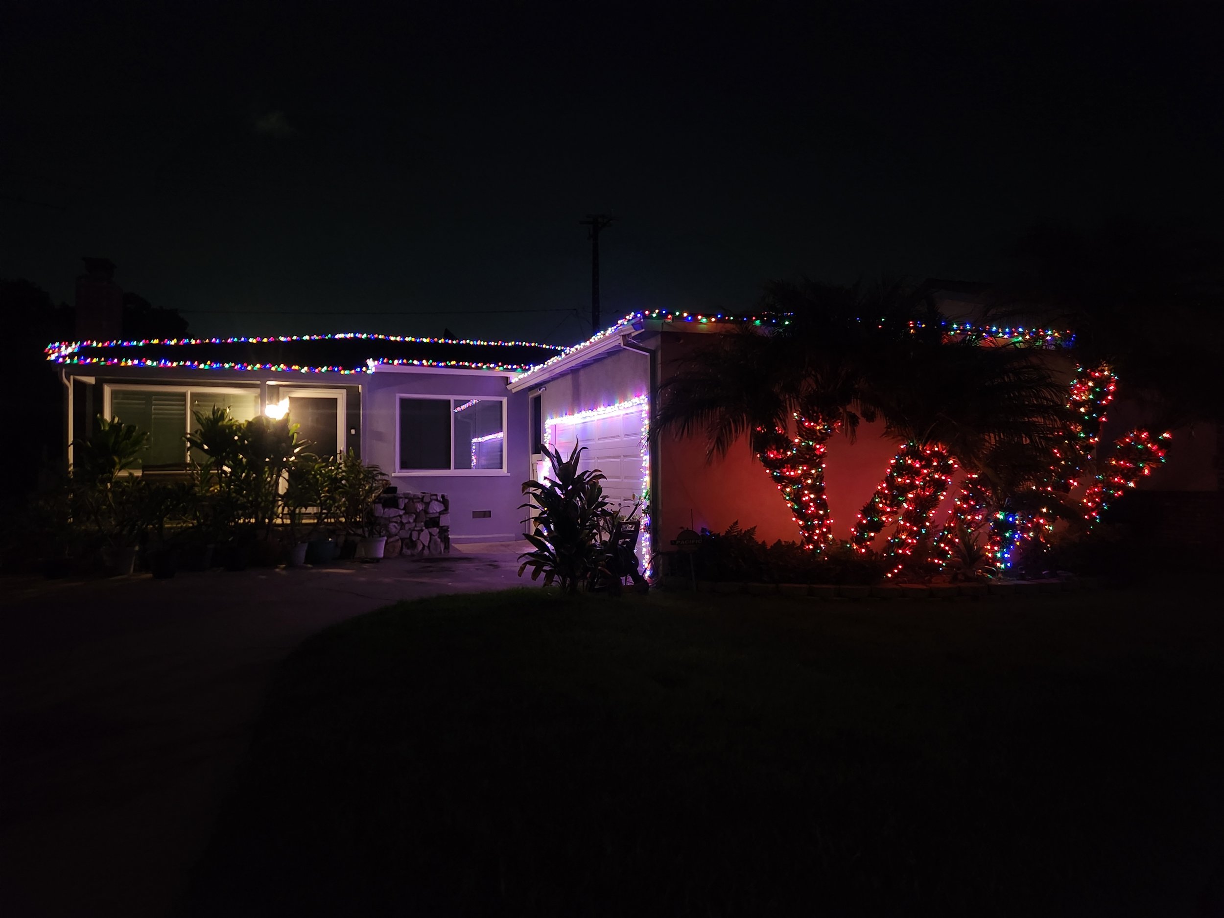 House & Palms Multi.jpg