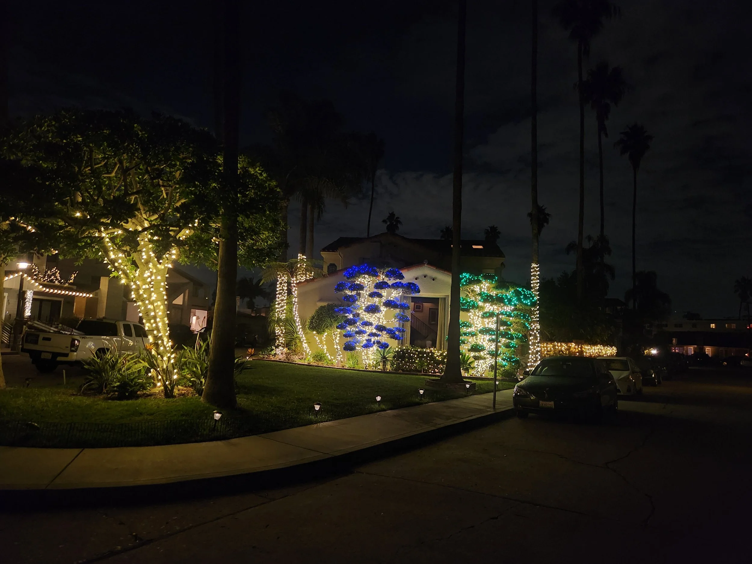 Bonsai Full View.jpg