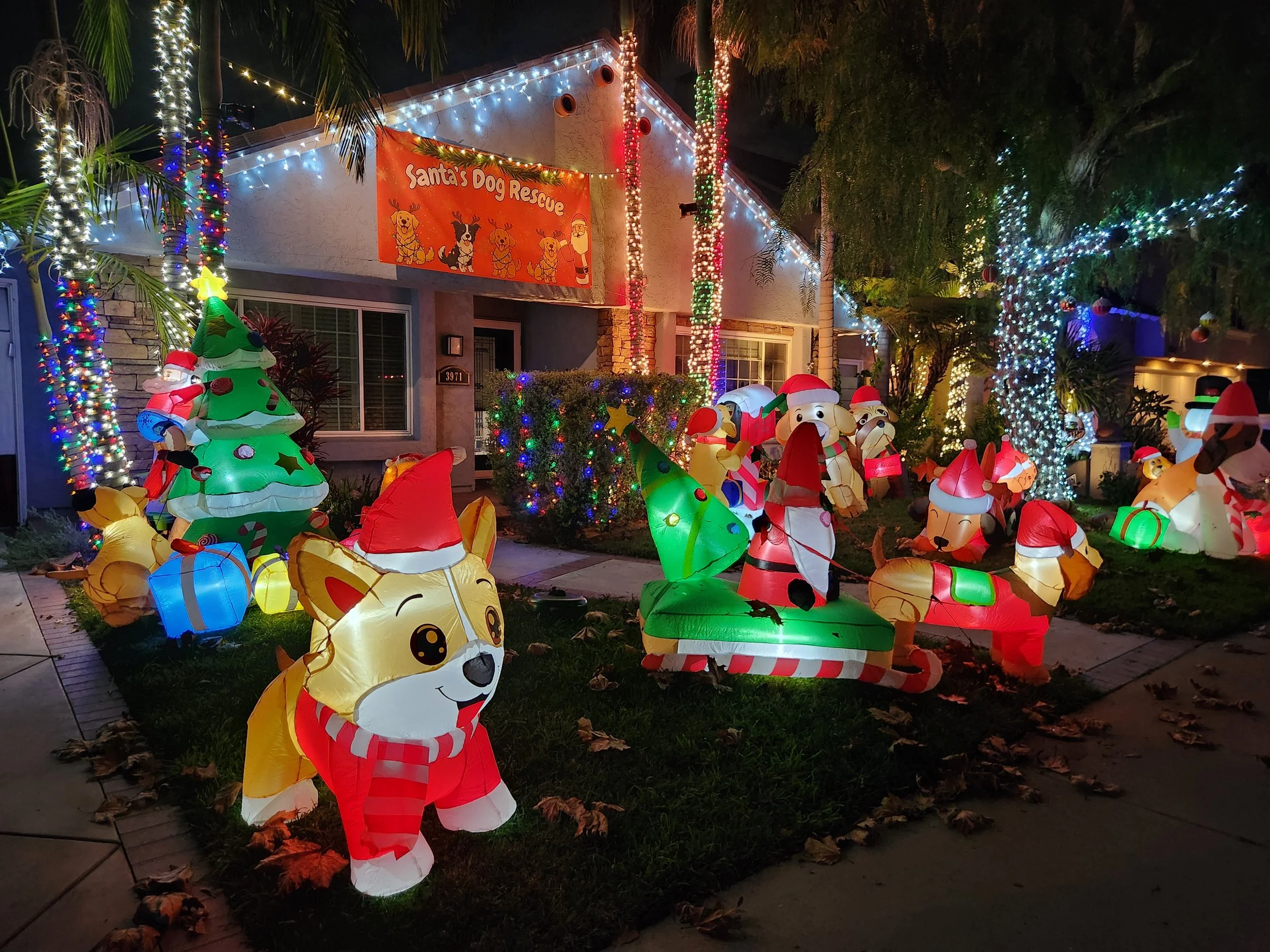 Santa_s Dog Rescue.jpg