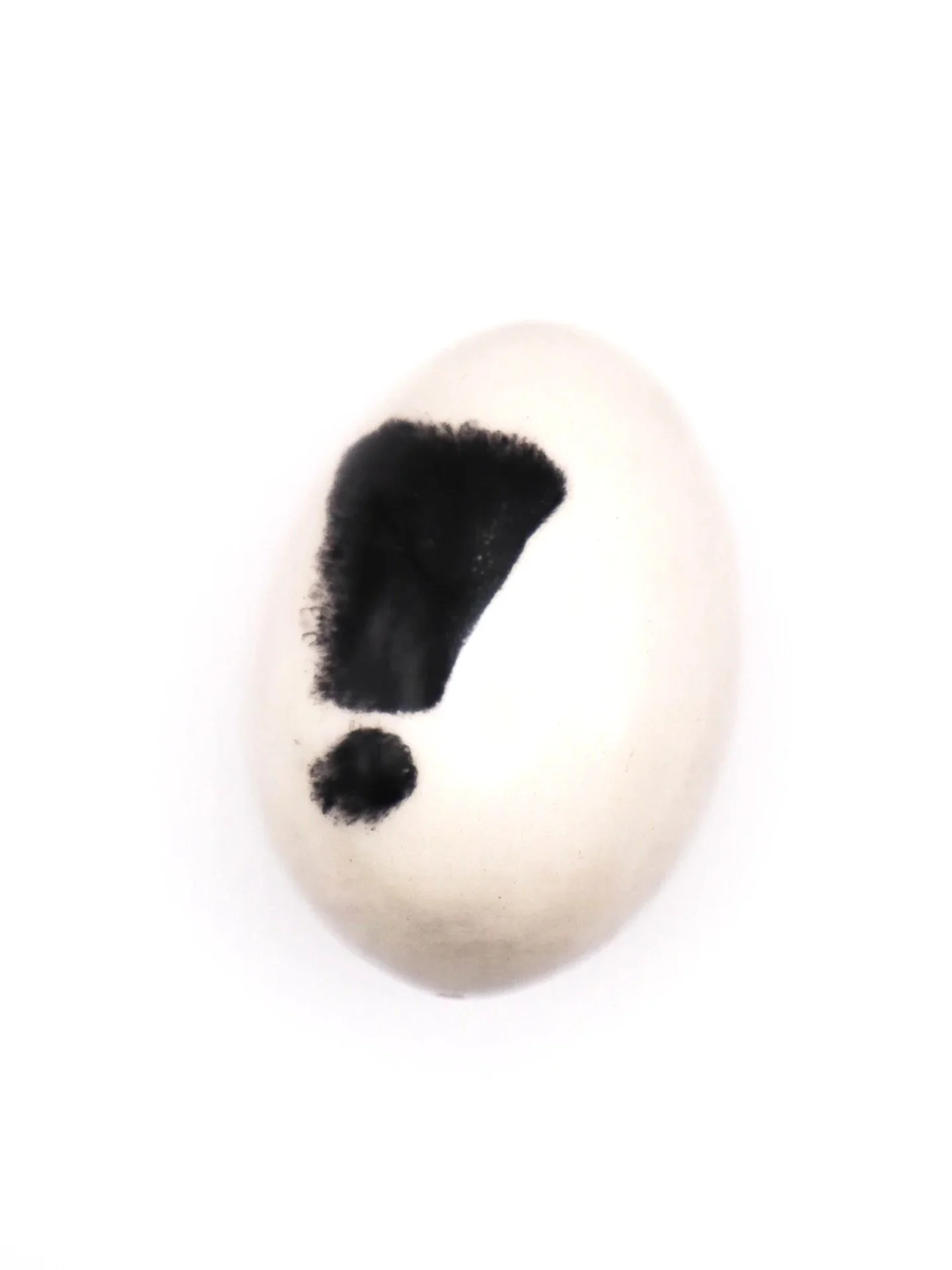 huevos-18.jpg