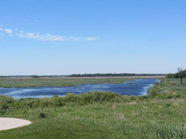 IMG_1619.jpg