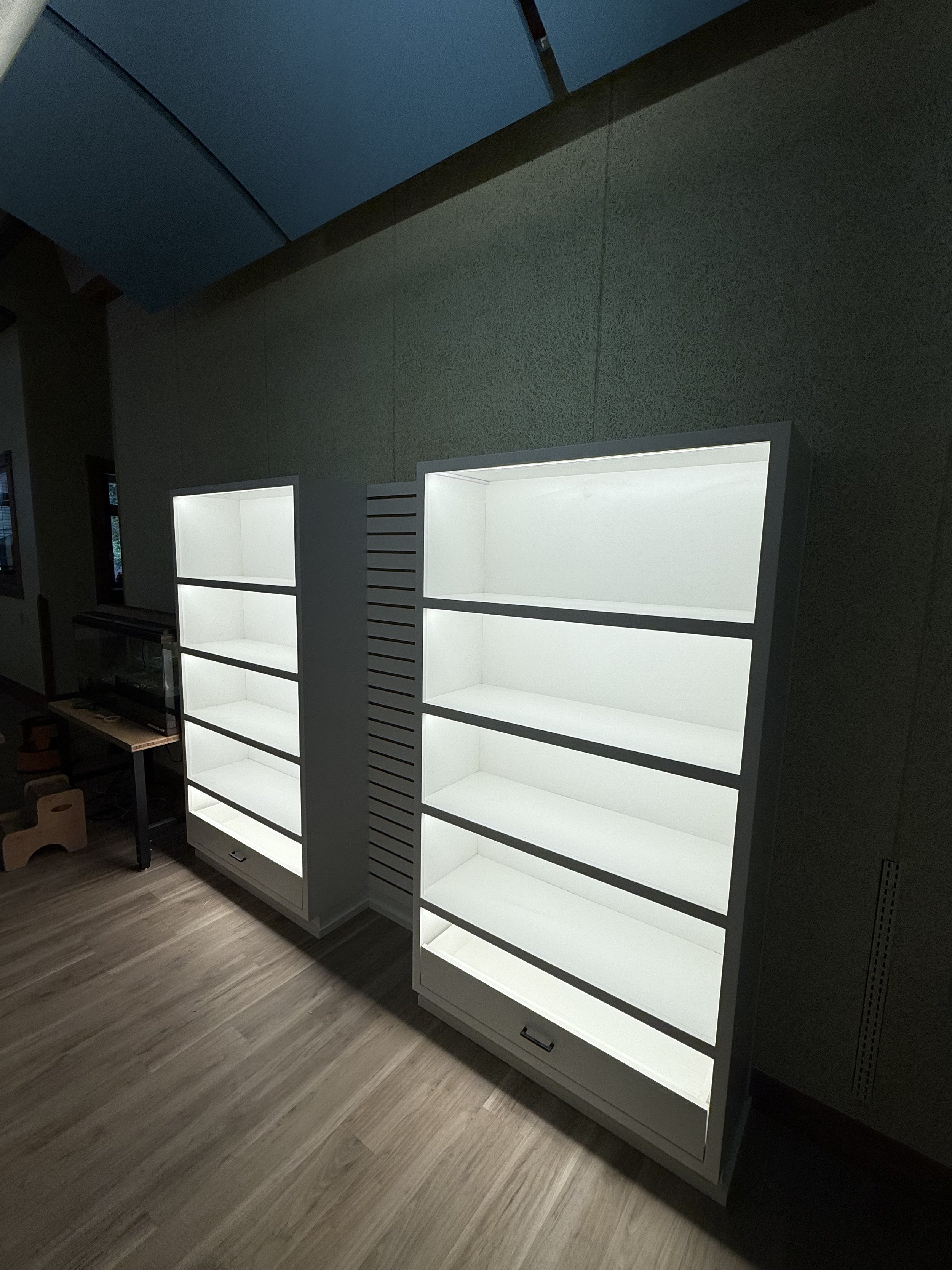 Custom shelving with concealed LED lighting