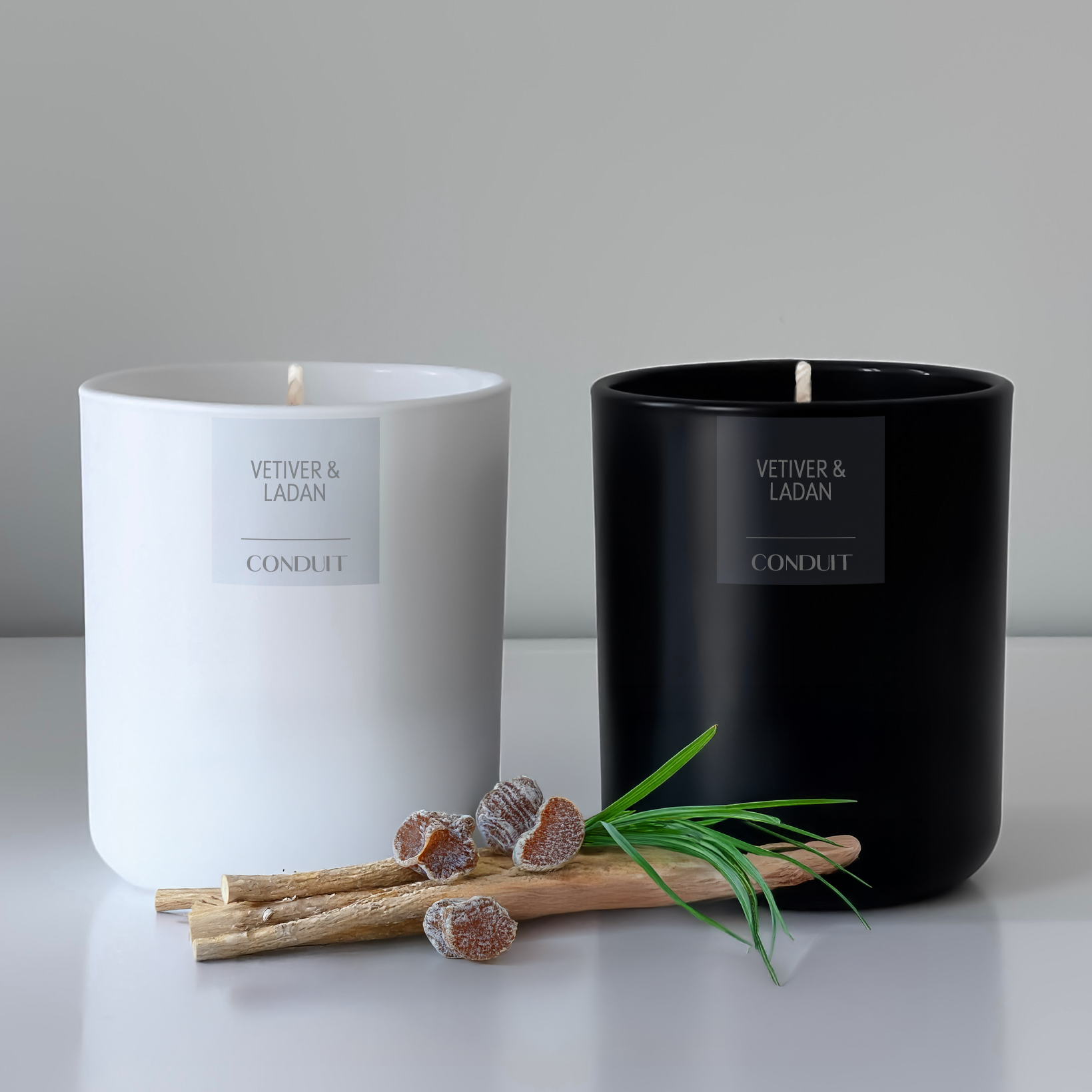 Vetiver and Ladan Display UPDATE 2025.png