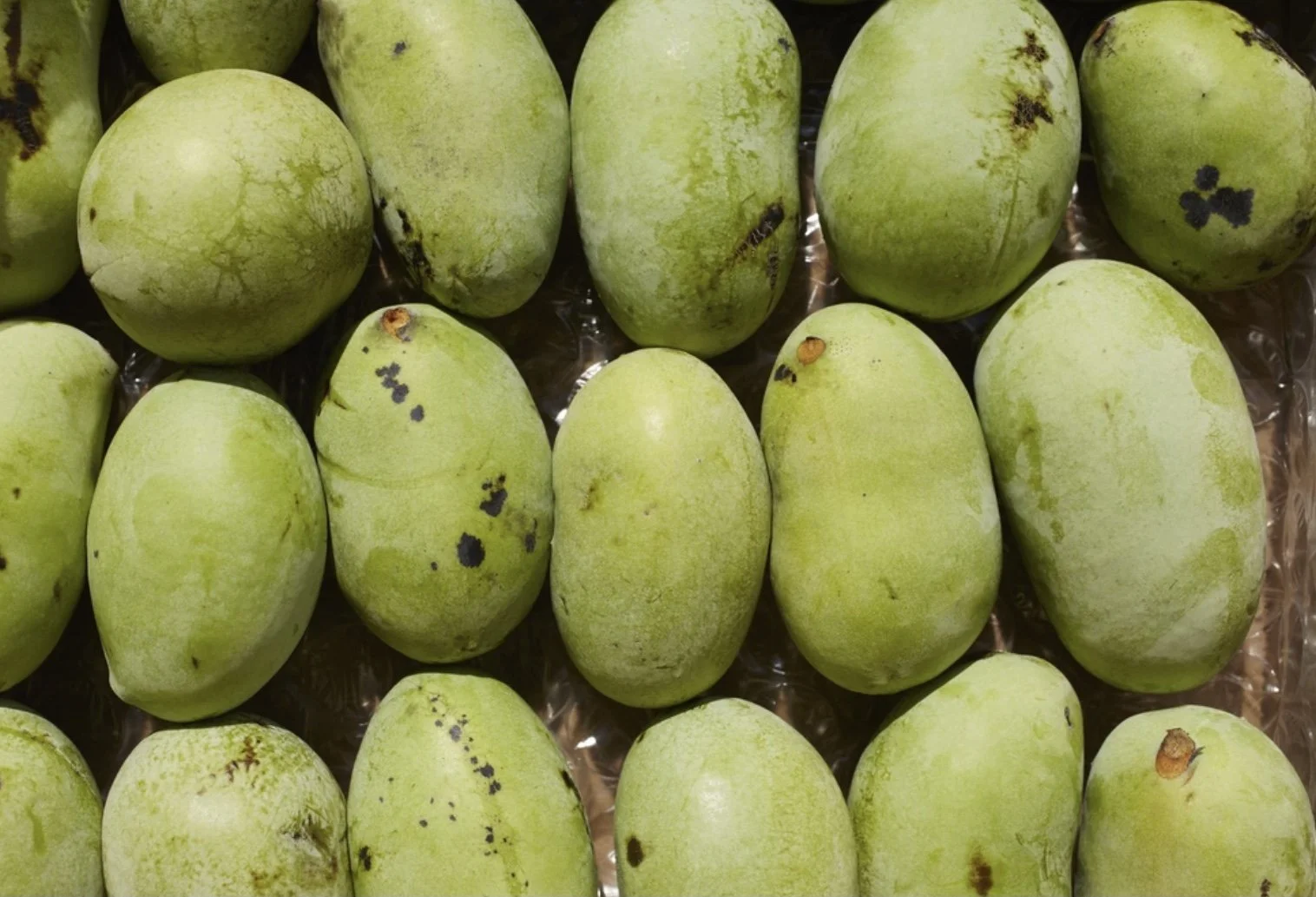 A close-up pawpaw fruit.