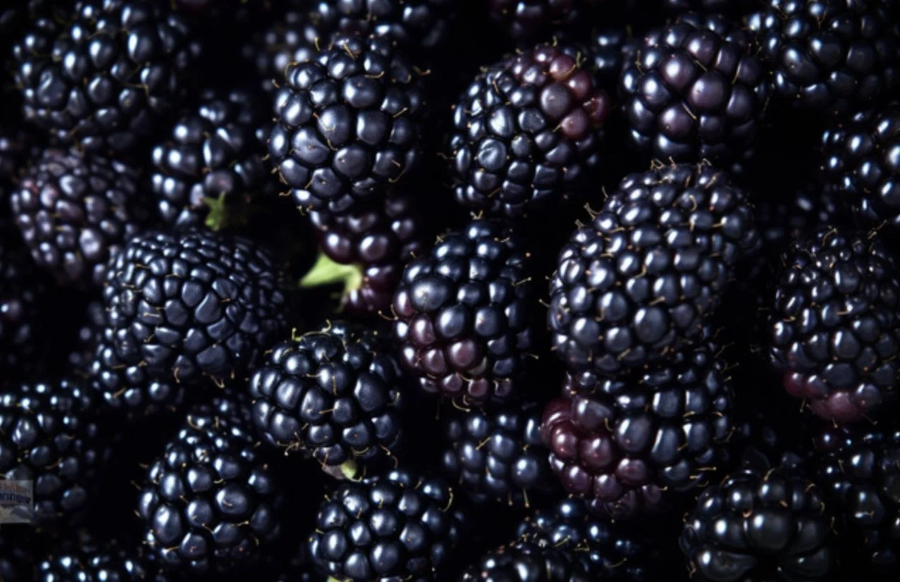 A close-up of fresh blackberries.