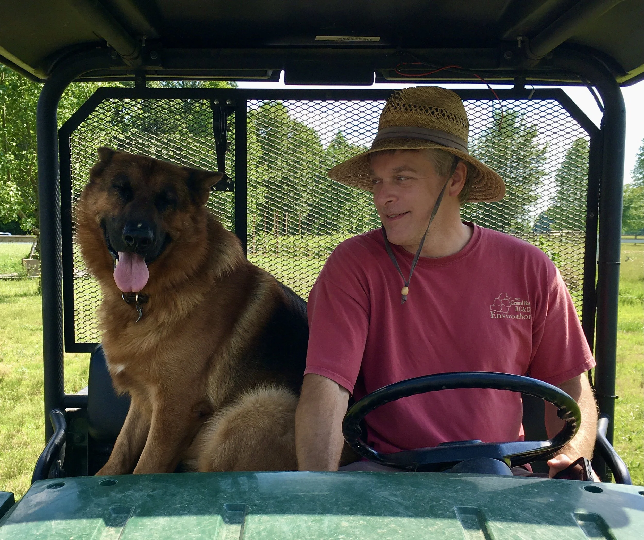 A man and a German Shepherd dog sitting in a utility vehicle outdoors.