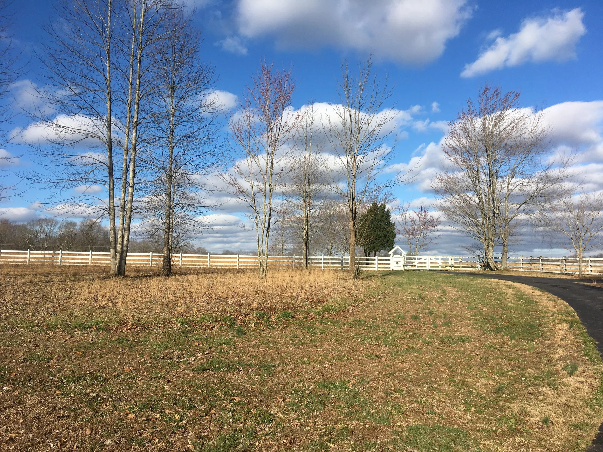 Driveway to Calling Crow Farm, Rocky Mound, Tennessee.