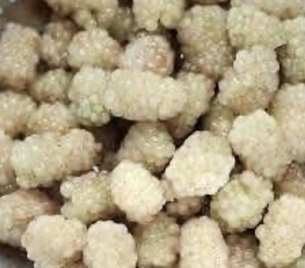 Close-up of white blackberries.