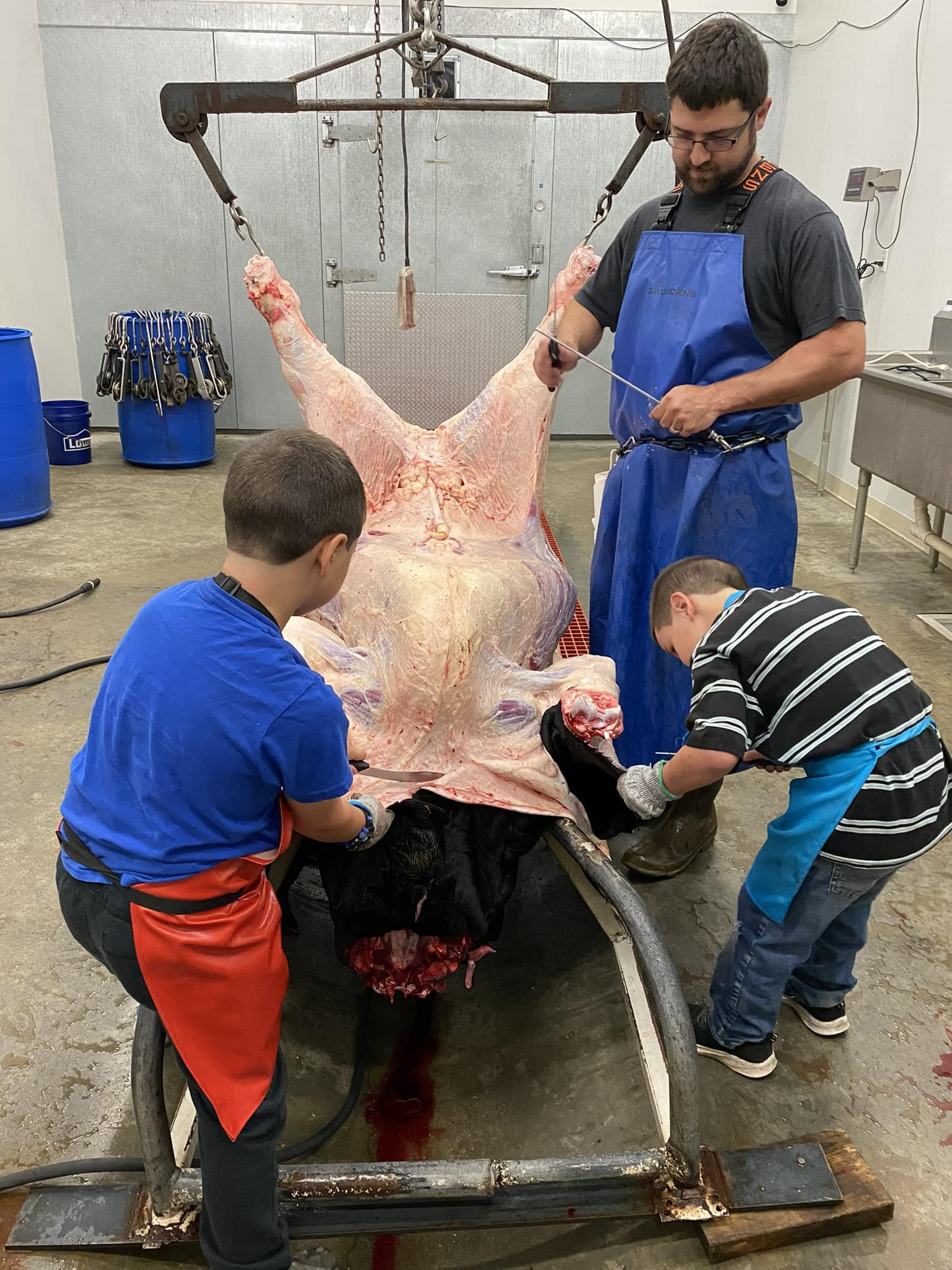 Butcher and two children processing a suspended, skinned animal carcass in a meat-processing facility