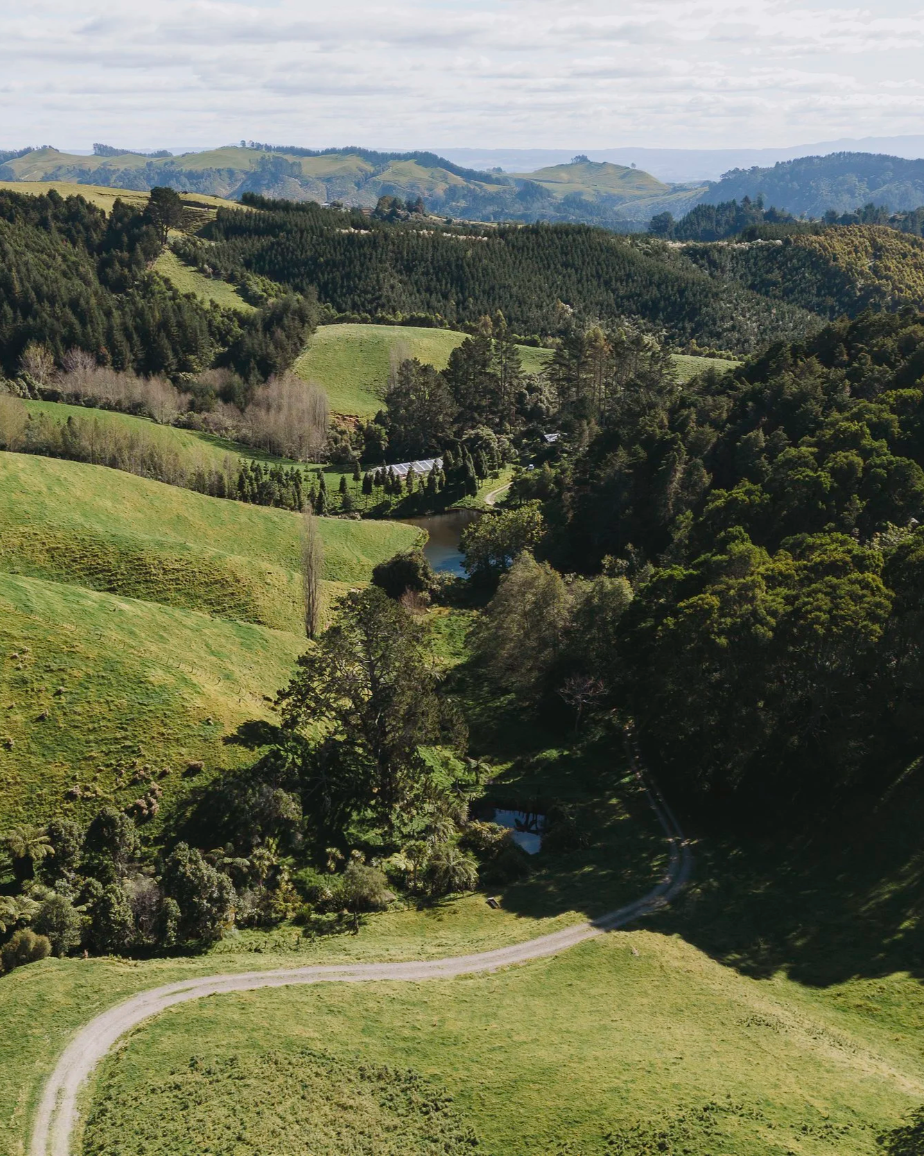 A scenic view of rolling green hills, dense forests, a winding dirt road, and a small waterway under a partly cloudy sky.