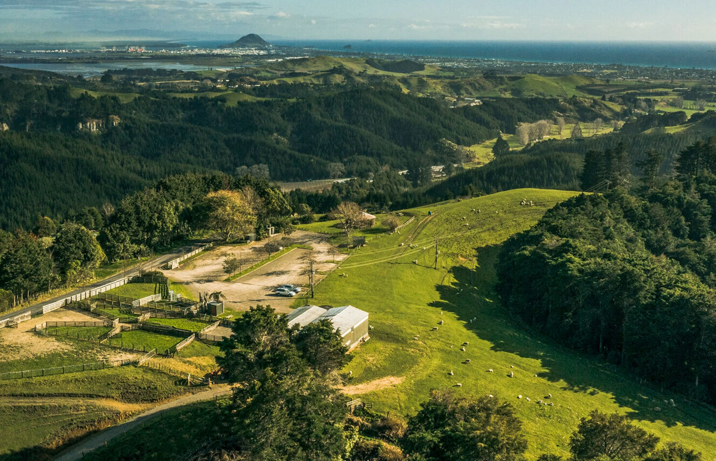 Summerhill-Farm-01b-Web.jpg
