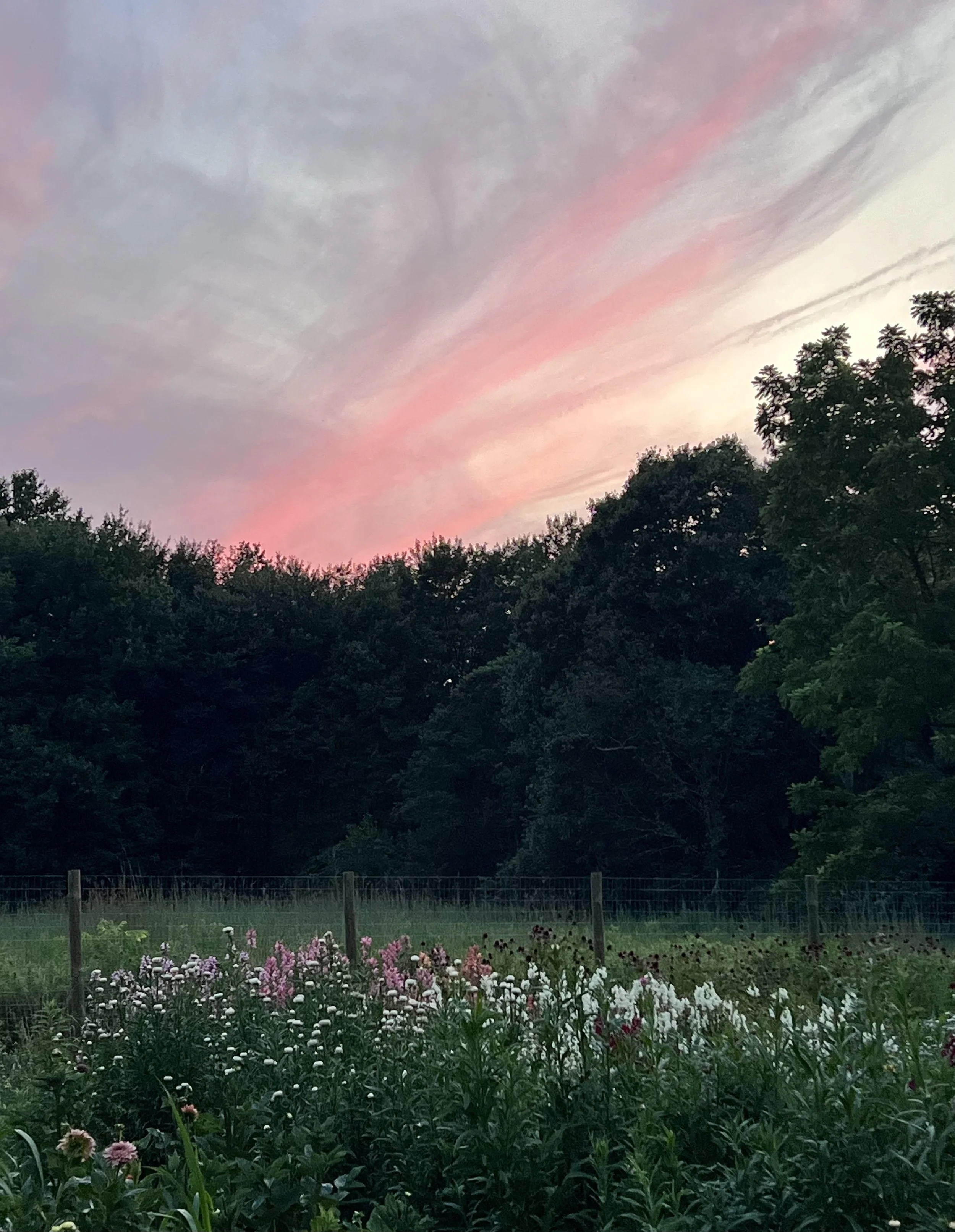evening.jpg