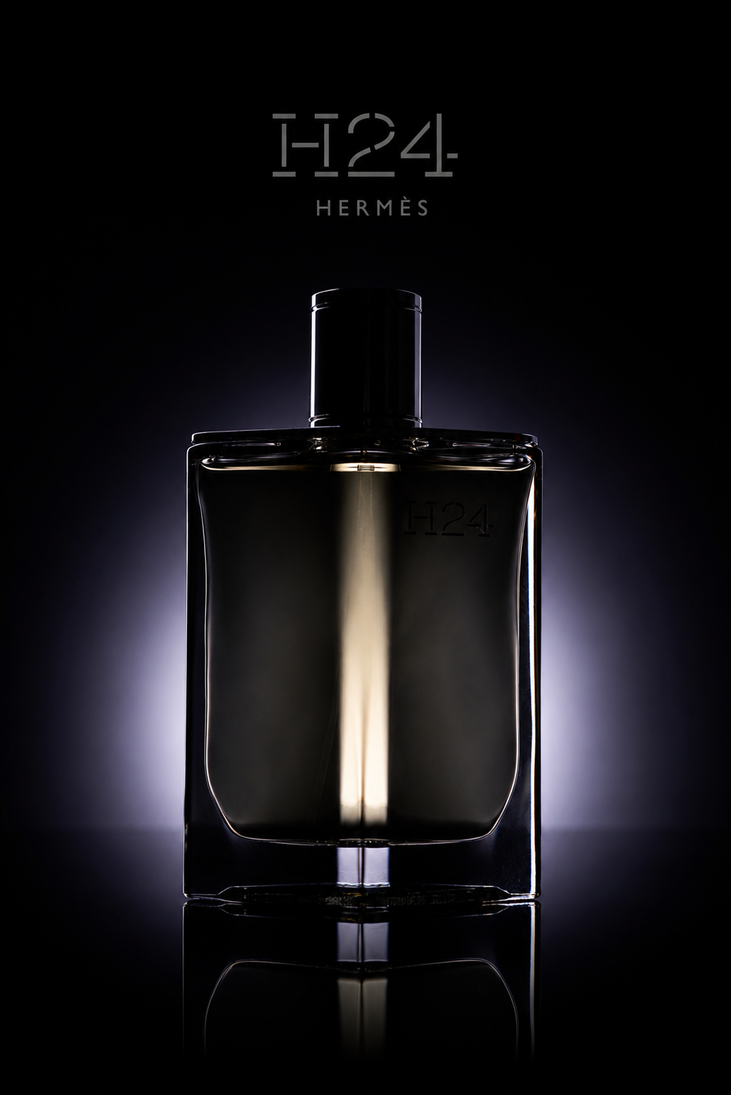 H24hermesa.PNG