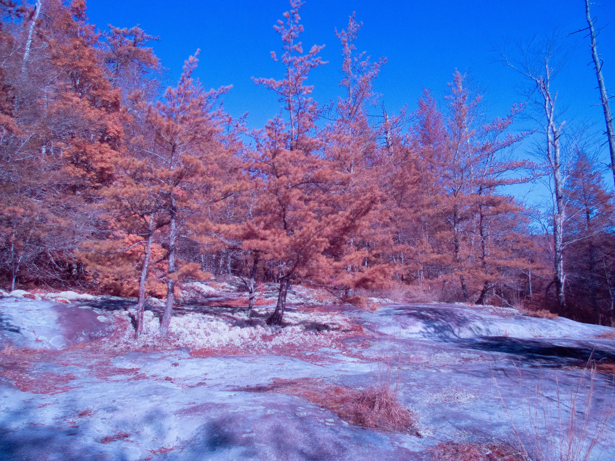 Honey_Creek_Aerochrome-8.jpg