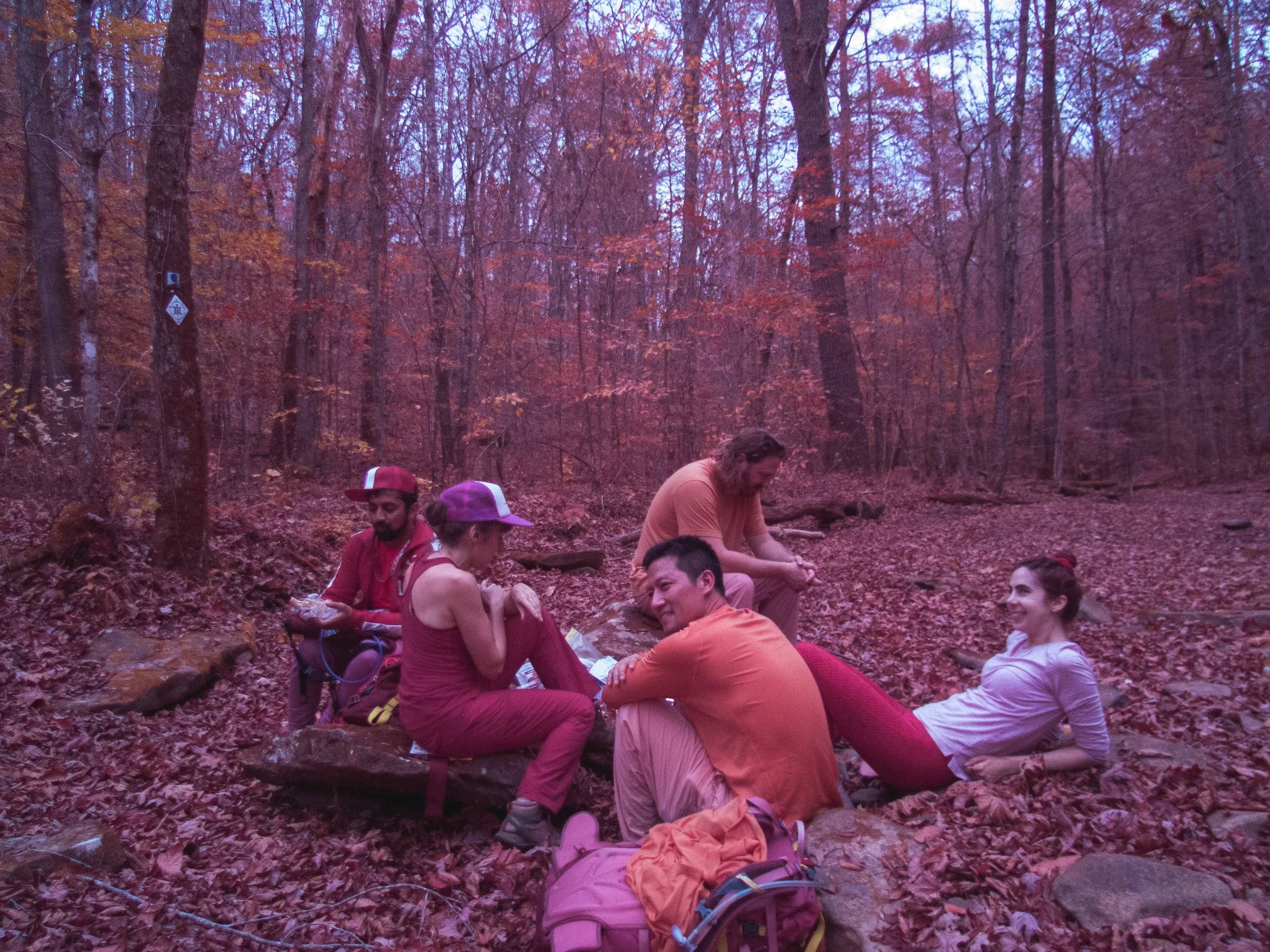 Honey_Creek_Aerochrome-1.jpg