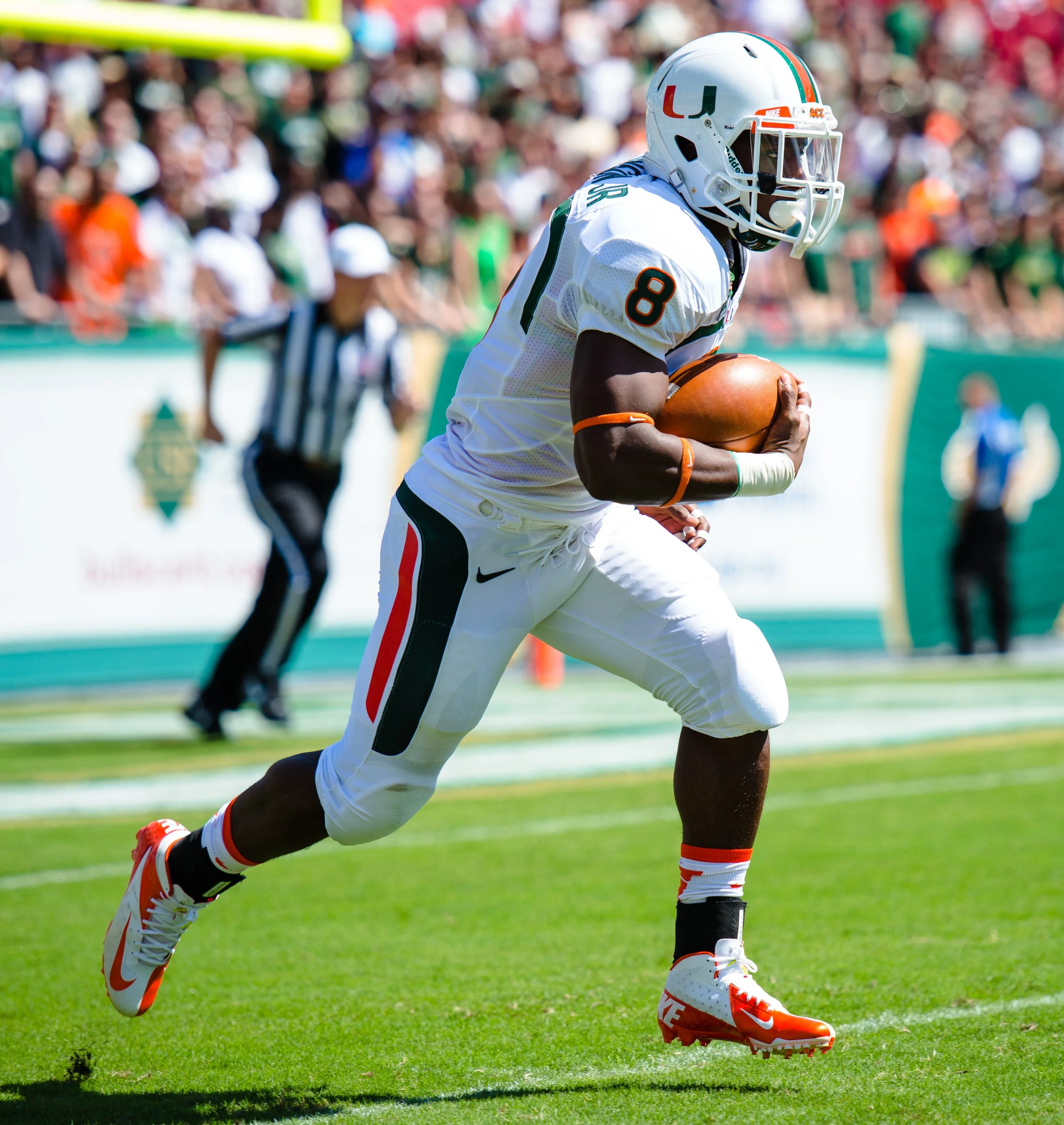 USF2013-10.jpg