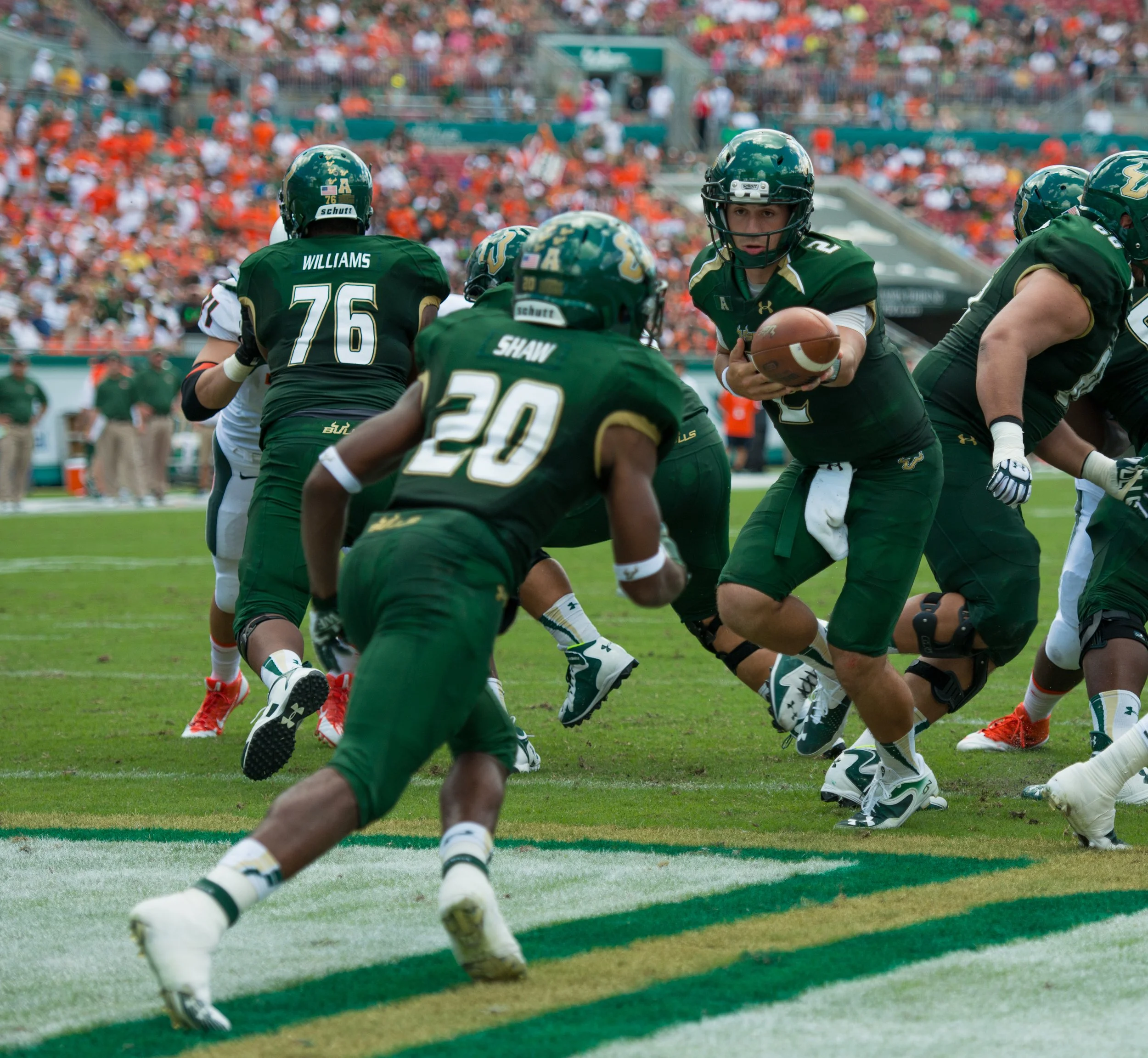 USF2013-17.jpg