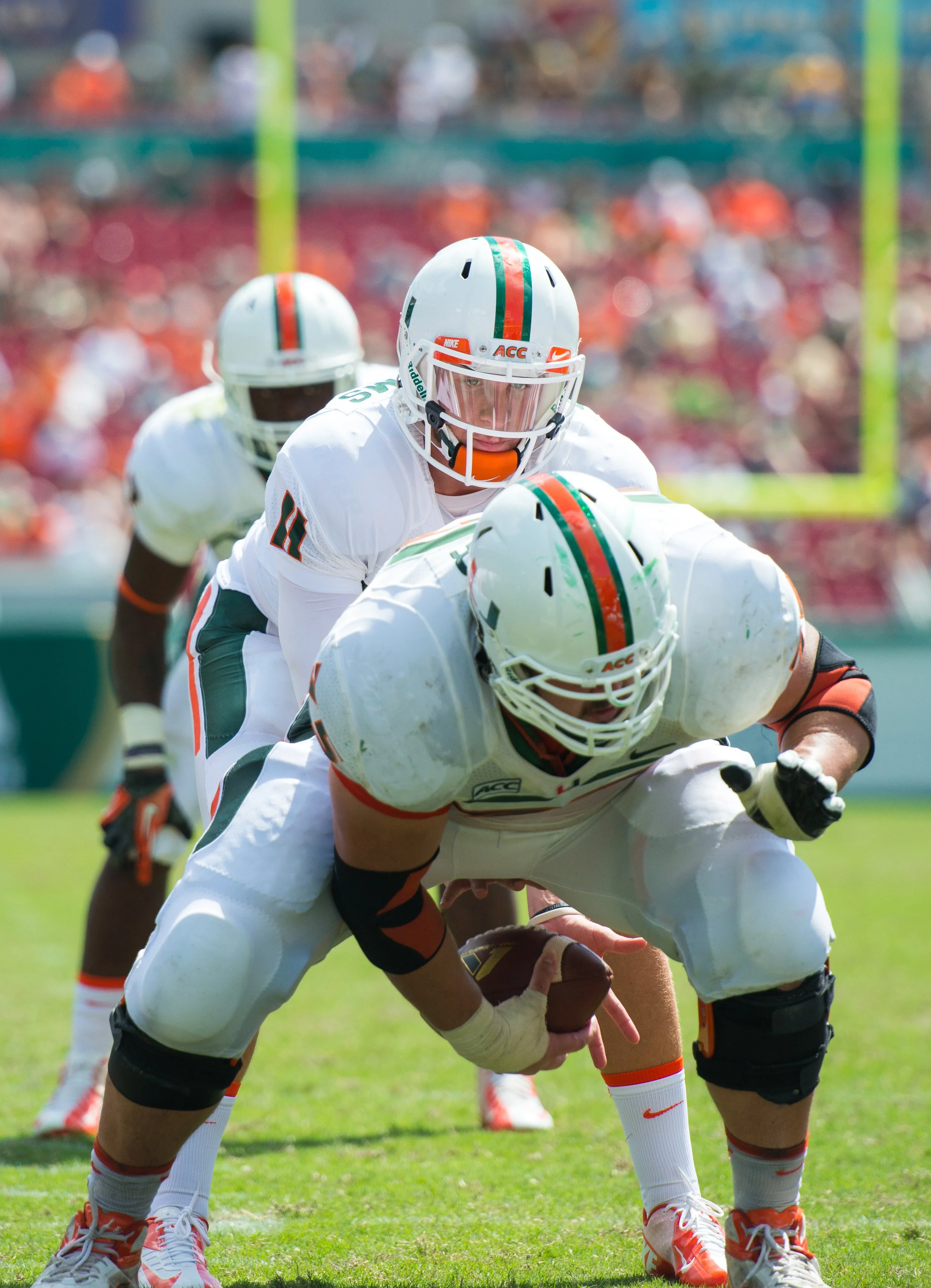 USF2013-20.jpg