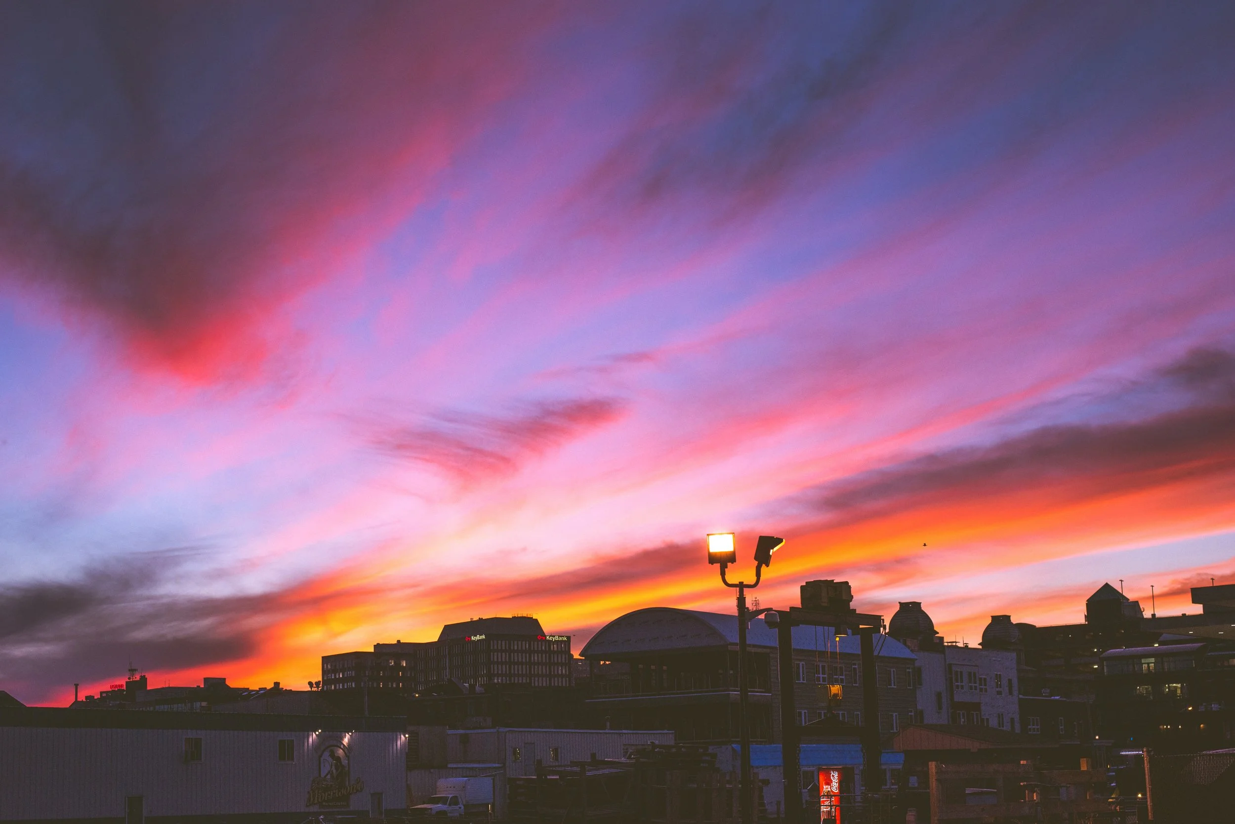 MaineSample-3 copy.jpg