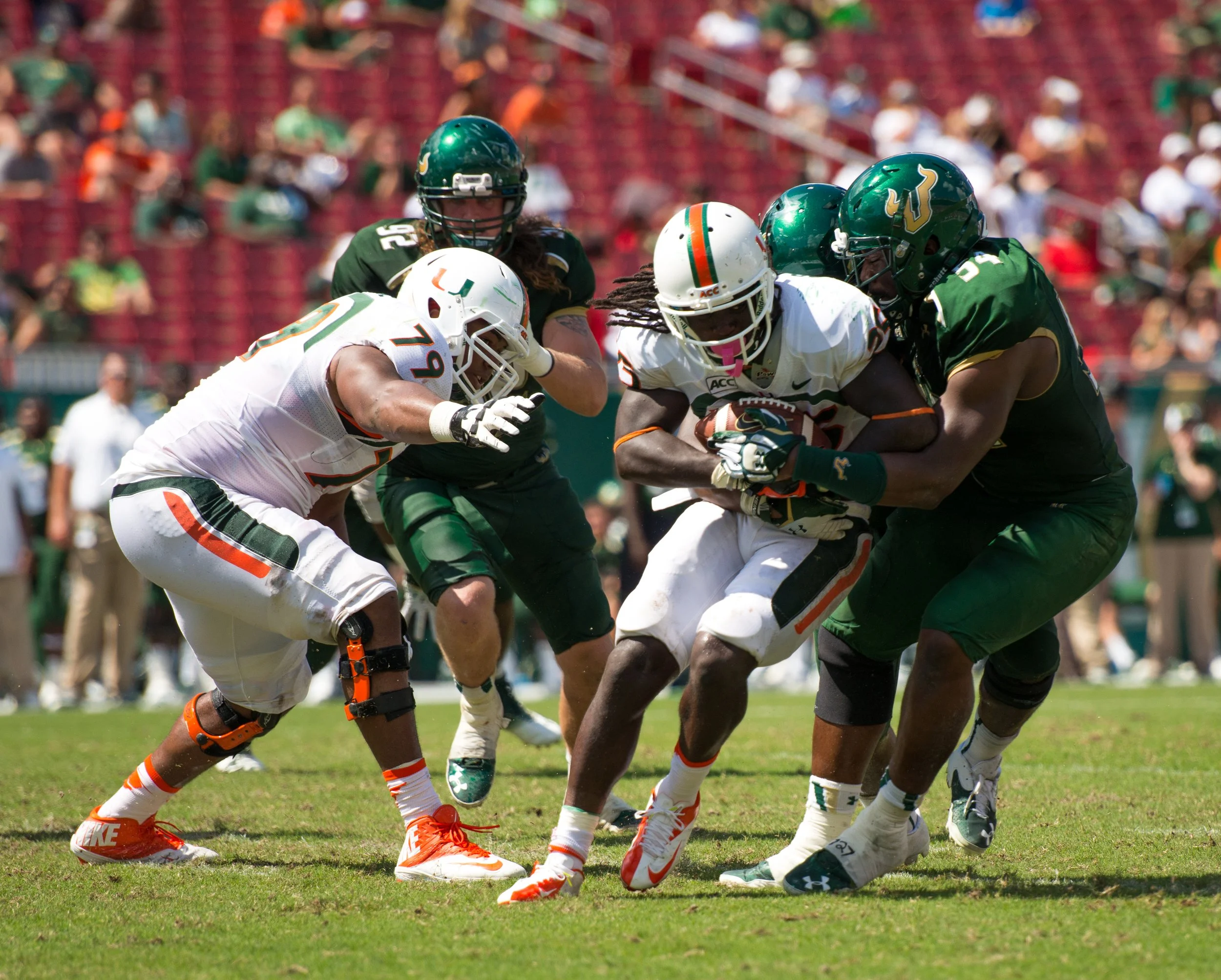 USF2013-19.jpg