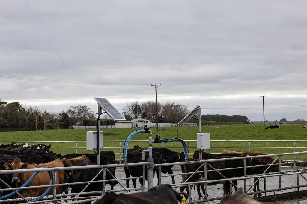 Solar Powered Backing Gates